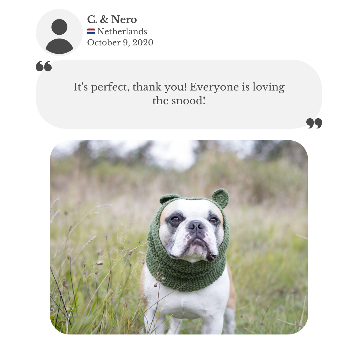 French Bulldog Nero from the Netherlands wearing custom-made to measure forest green snood with crochet teddy bear ears.