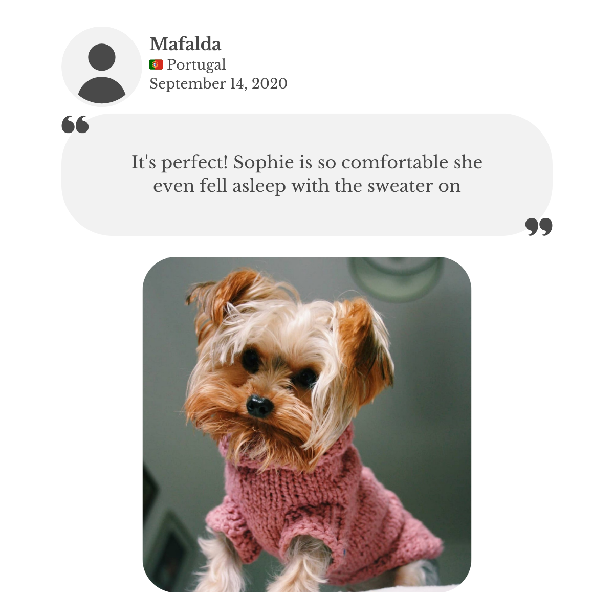 Mini yorkie wearing custom-made hand-knitted cotton sweater in pink. Mafalda says her dog was so comfortable she even fell asleep with the sweater on.