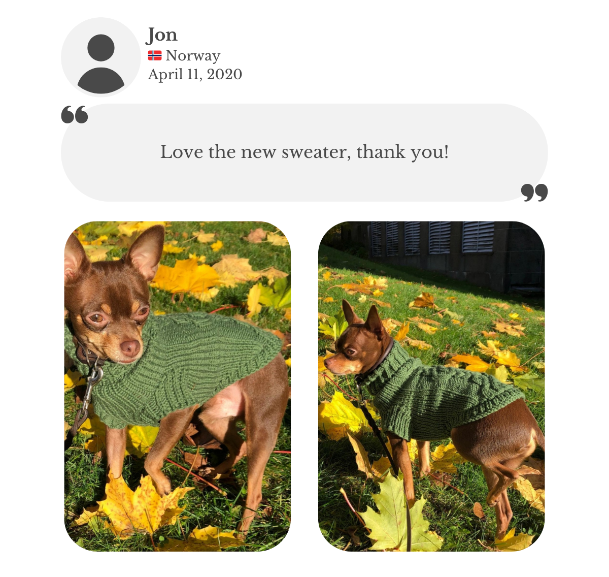 Russkiy Toy wearing a handmade green cotton knit sweater from Lana Royals Pet Wear. Customer testimonial from Jon, saying he loves the new sweater.
