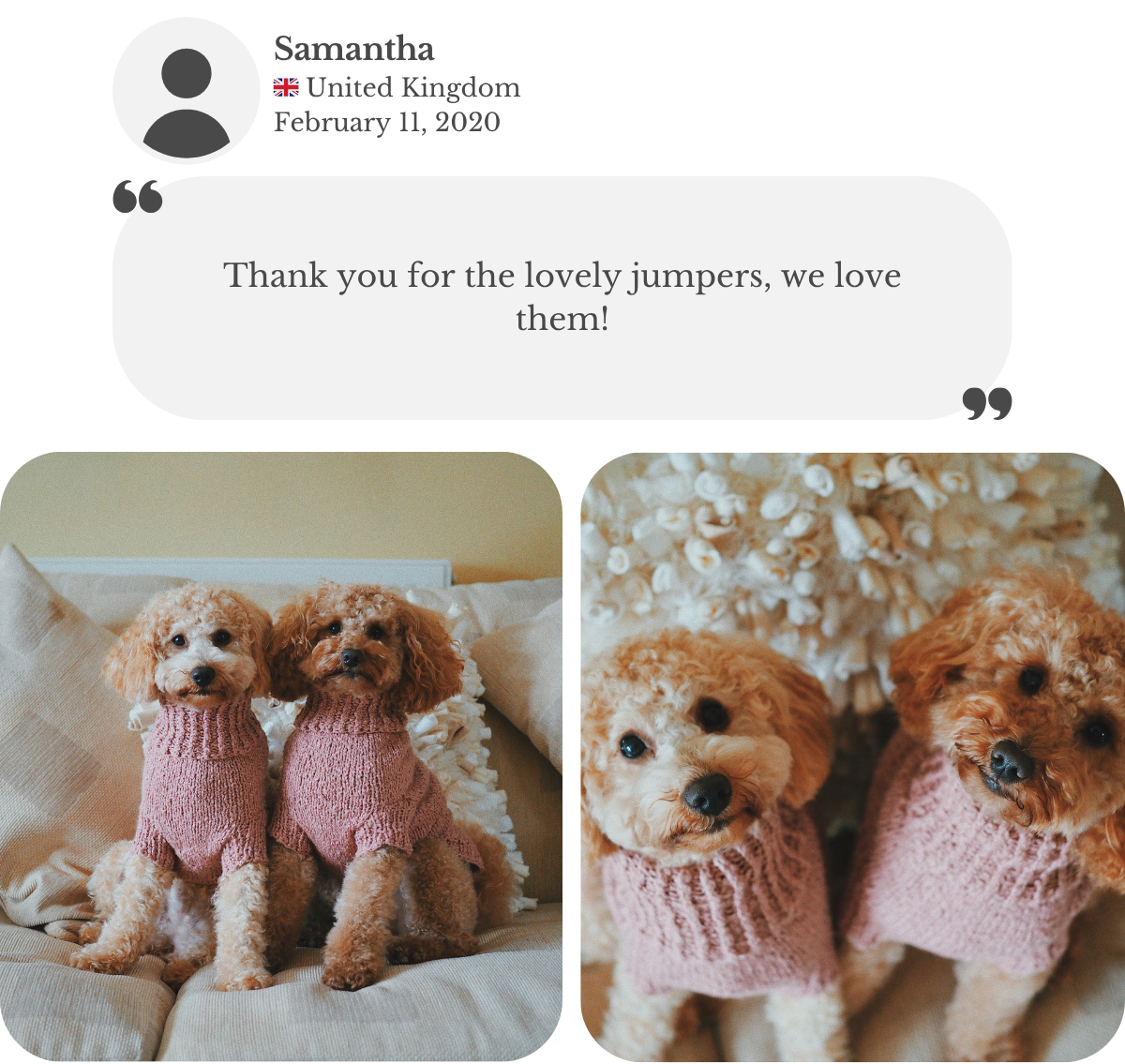 Two poodles wearing hand-knitted nude pink cotton turtleneck sweaters from Lana Royals Pet Wear. Customer testimonial from Samantha, thanking for the lovely jumpers