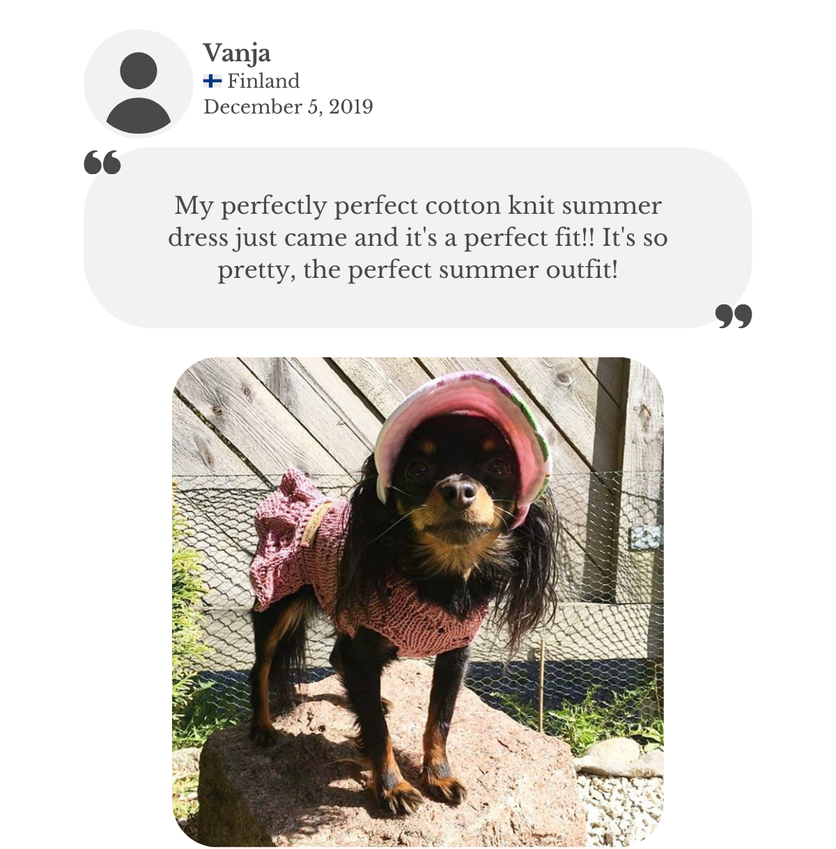 Customer review: Russkiy Toy wearing a pink hand-knitted cotton dress, custom-made by Lana Royals Pet Wear. Owner says it’s a perfect fit and a pretty summer outfit.