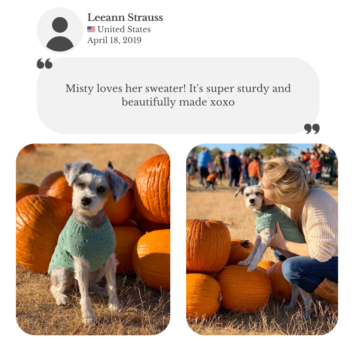 Miniature Schnauzer wearing a jade green hand-knitted cotton sweater from Lana Royals Pet Wear. Customer testimonial says Misty loves her new sweater, praising it as super sturdy and beautifully made.
