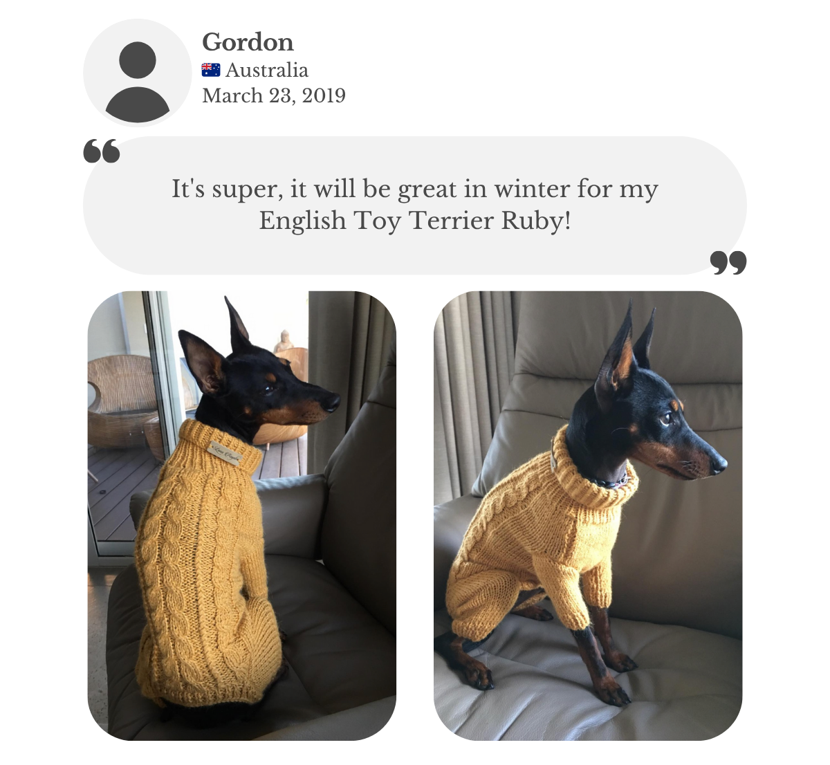 Customer testimonial from Gordon: his Manchester Terrier wears a mustard yellow handmade ‘Primus’ dog onesie, custom-tailored to measure by Lana Royals Pet Wear. He says it’s perfect and will be great for winter.