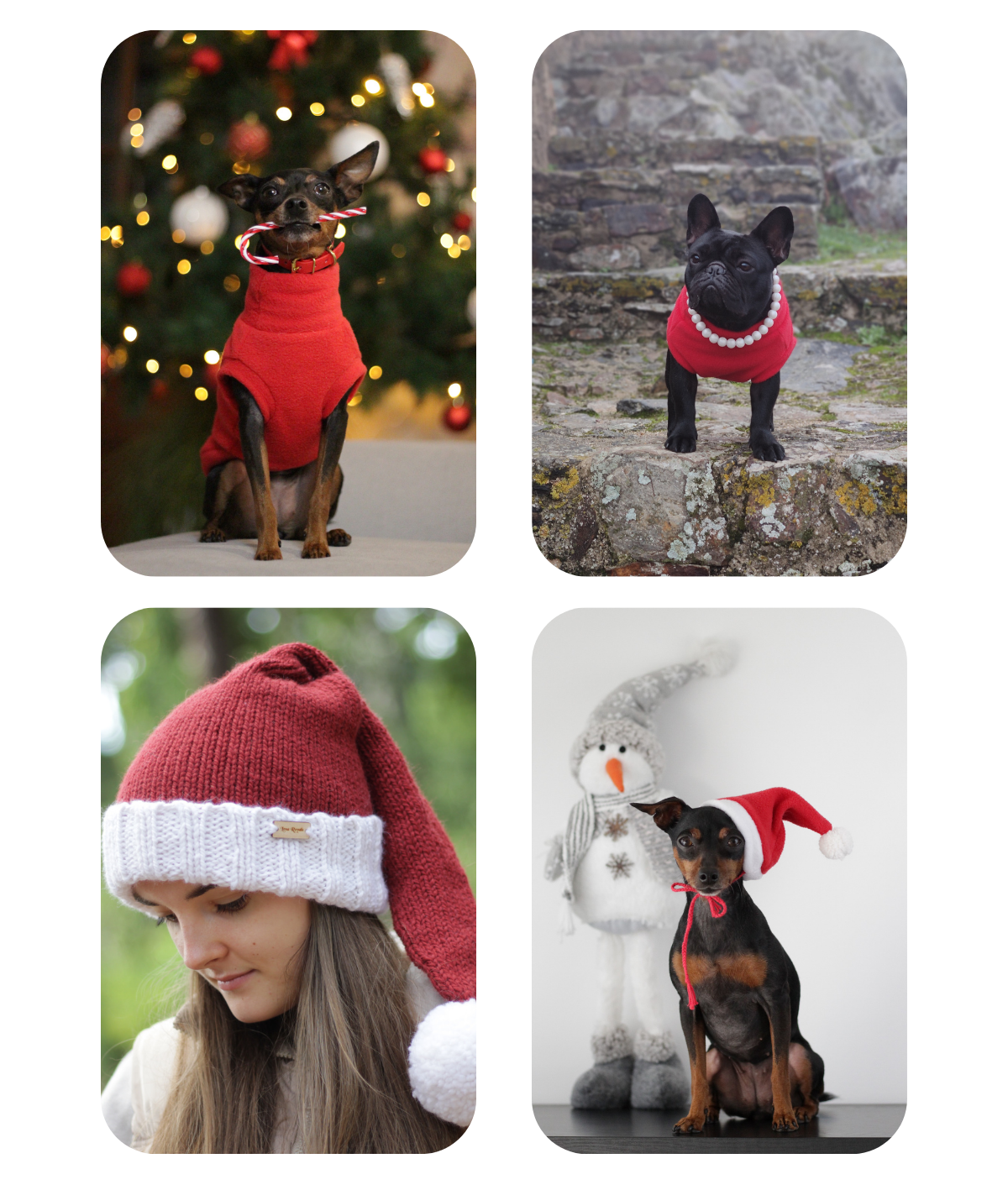 Collage of four Lana Royals Pet Wear products. Images featuring a miniature pinscher in a red fleece sweater, a French bulldog in a red fleece sweater, a woman in a red and white Santa hat, and a dog with a Santa fleece hat next to a snowman.