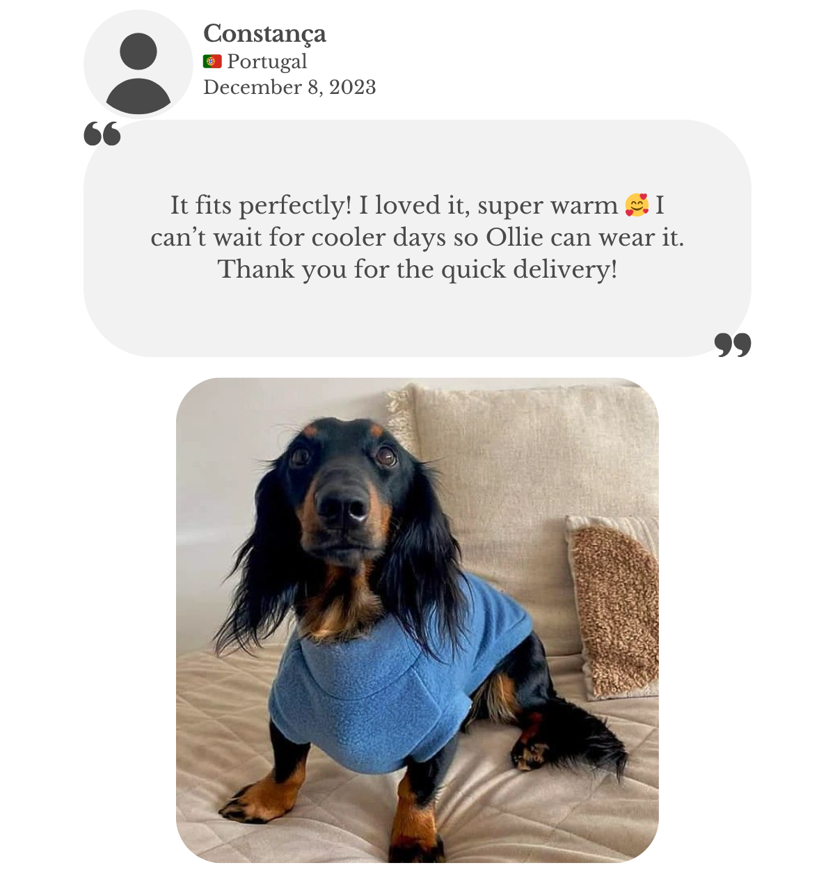 Miniature dachshund wearing custom made to measure pigeon blue polar fleece from Lana Royals Pet Wear. Customer is happy for the perfect fit and quick delivery to Portugal.