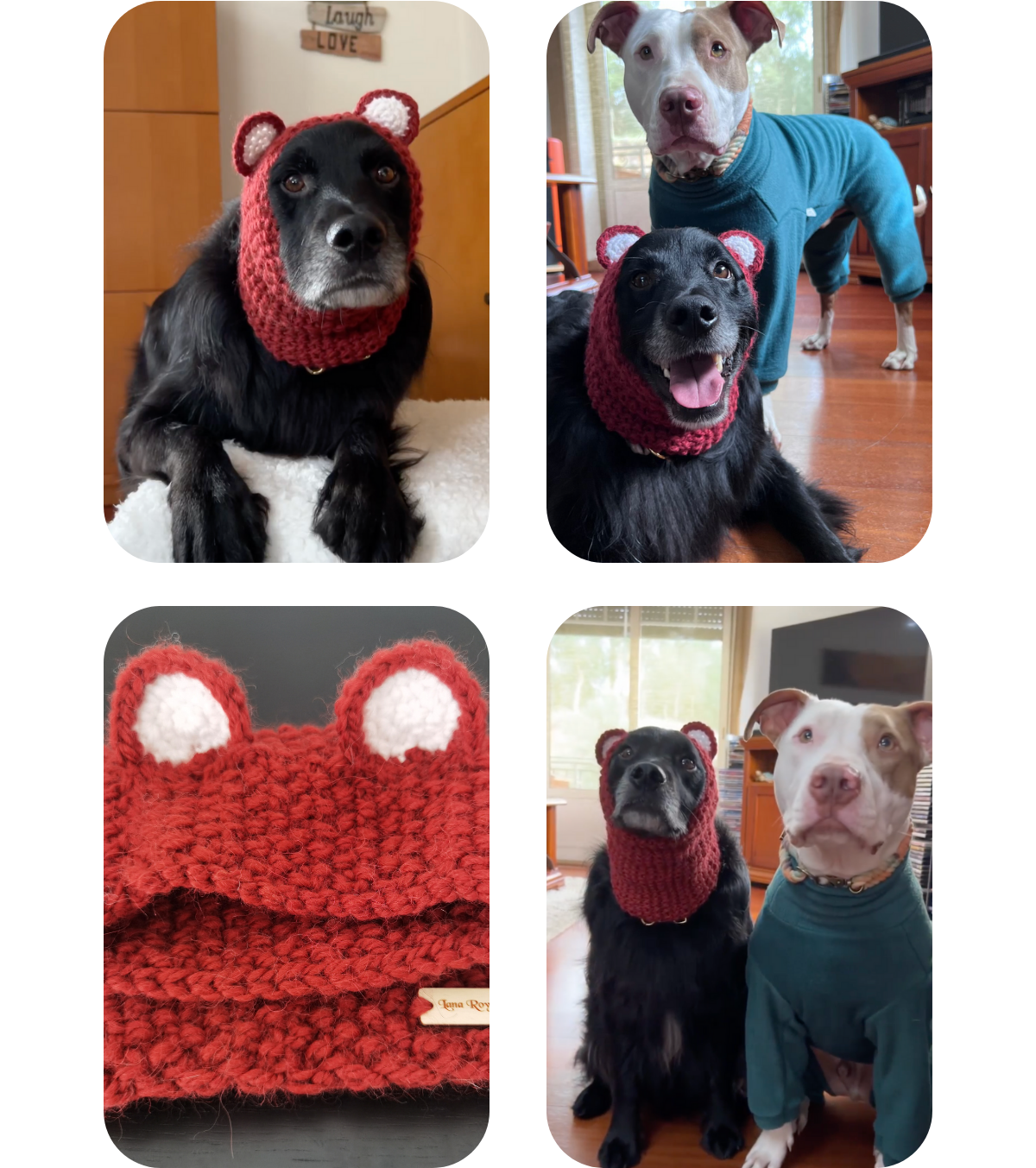 Collage of photos with dogs wearing a hand-knitted alpaca wool snood with teddy ears, and a teal fleece jumpsuit, all handmade from Lana Royals Pet Wear.