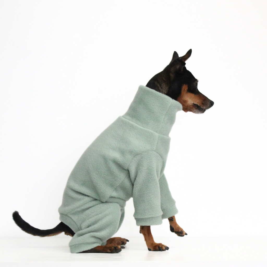 Miniature pinscher wearing a handmade light green aqua fleece jumpsuit onesie, custom-tailored pajamas overall from Lana Royals Pet Wear.