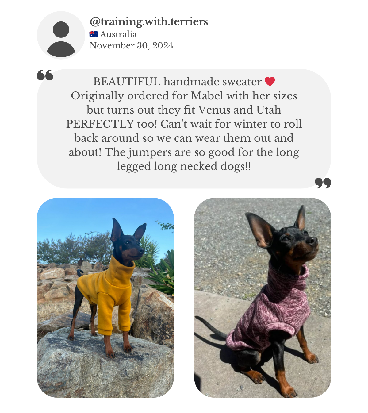 Customer testimonial: miniature pinscher wearing a mustard jumper and merle pink vest from Lana Royals Pet Wear. Customer praises the beautiful handmade sweaters, perfectly fitted for long-legged, long-necked dogs during winter.