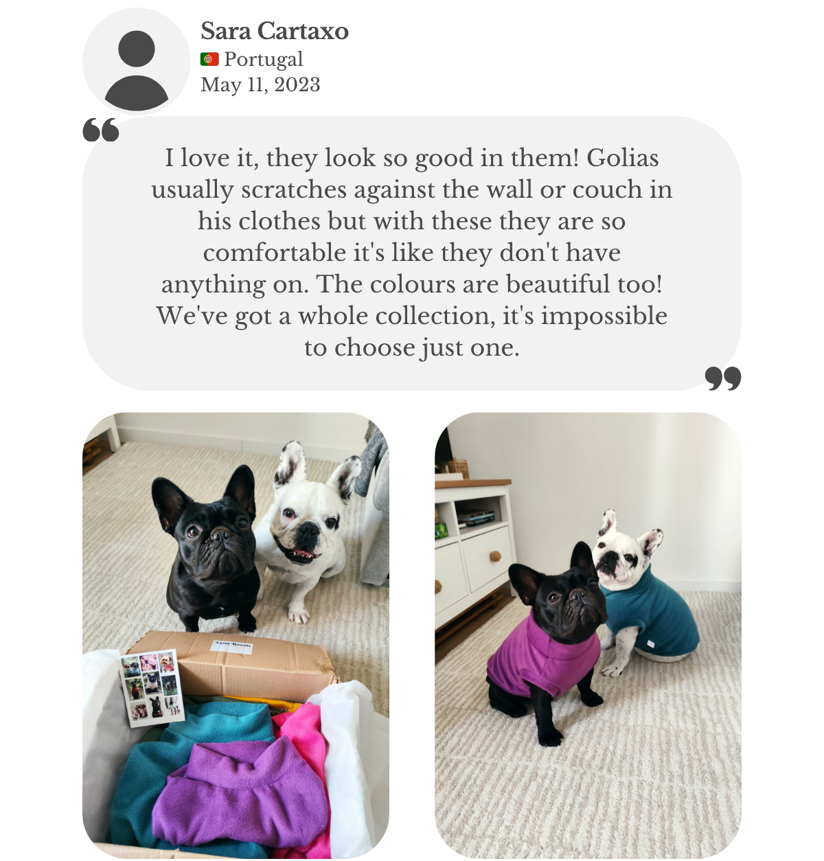 Customer testimonial from Sara in Portugal: her two French Bulldogs wear purple and teal fleece outfits from Lana Royals Pet Wear. She praises the beautiful colors, how comfortable the dogs are, and mentions they now have a whole collection.