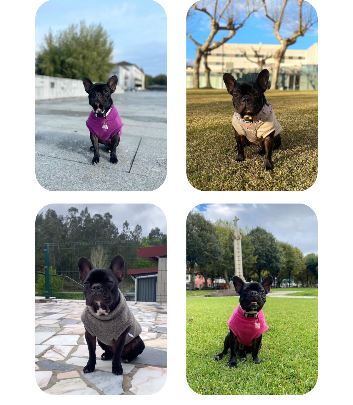 Collage of French bulldogs wearing their custom-made to measure outfits from Lana Royals Pet Wear: purple fleece, beige fleece, hot pink fleece and woolly beige vest jumpers.