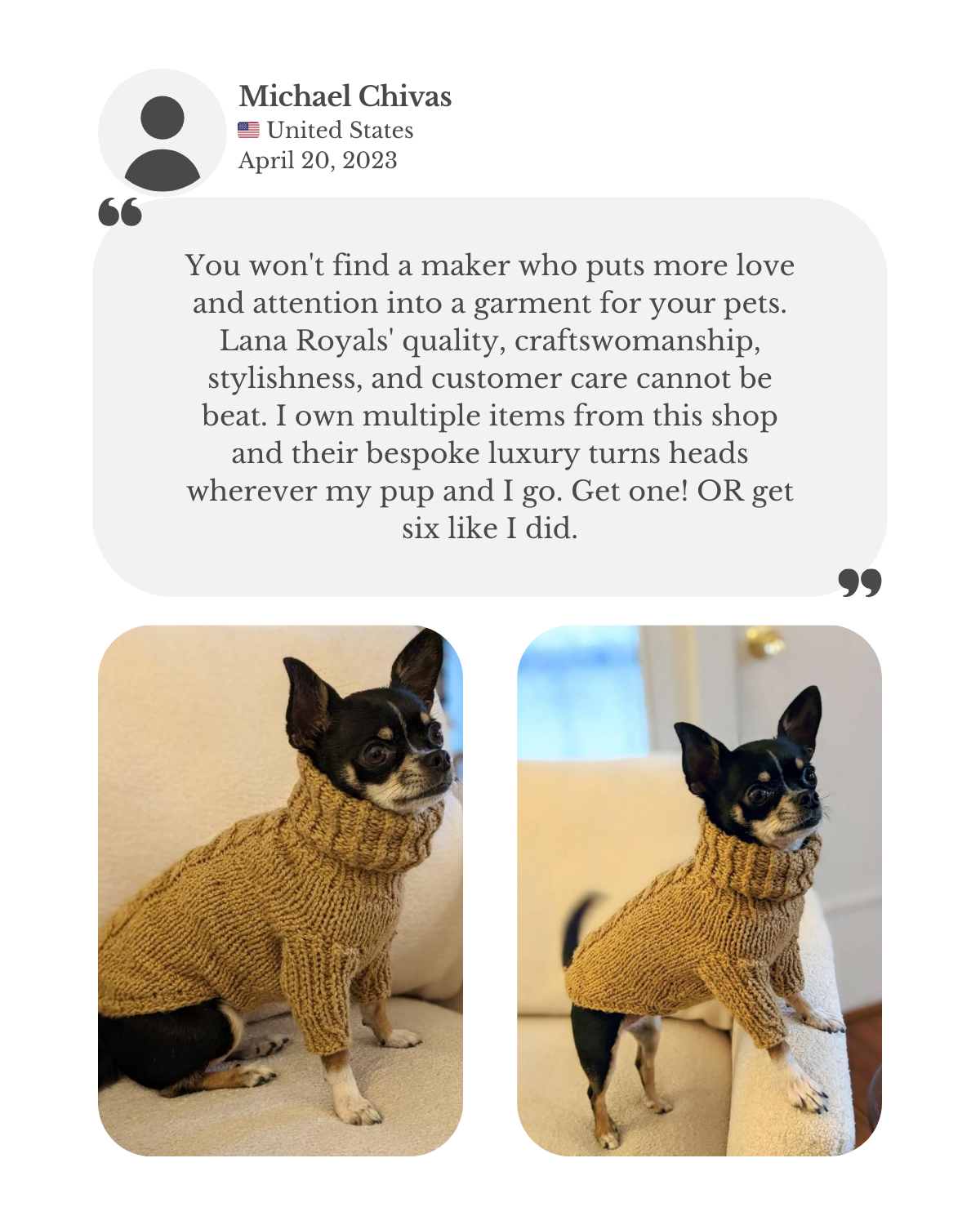 Chihuahua in a custom hand-knitted cotton turtleneck sweater by Lana Royals Pet Wear. Customer Michael shares a testimonial, praising the unmatched love, craftsmanship, style, and care in LR’s bespoke garments. He owns several pieces, noting they always turn heads and recommending others do the same.