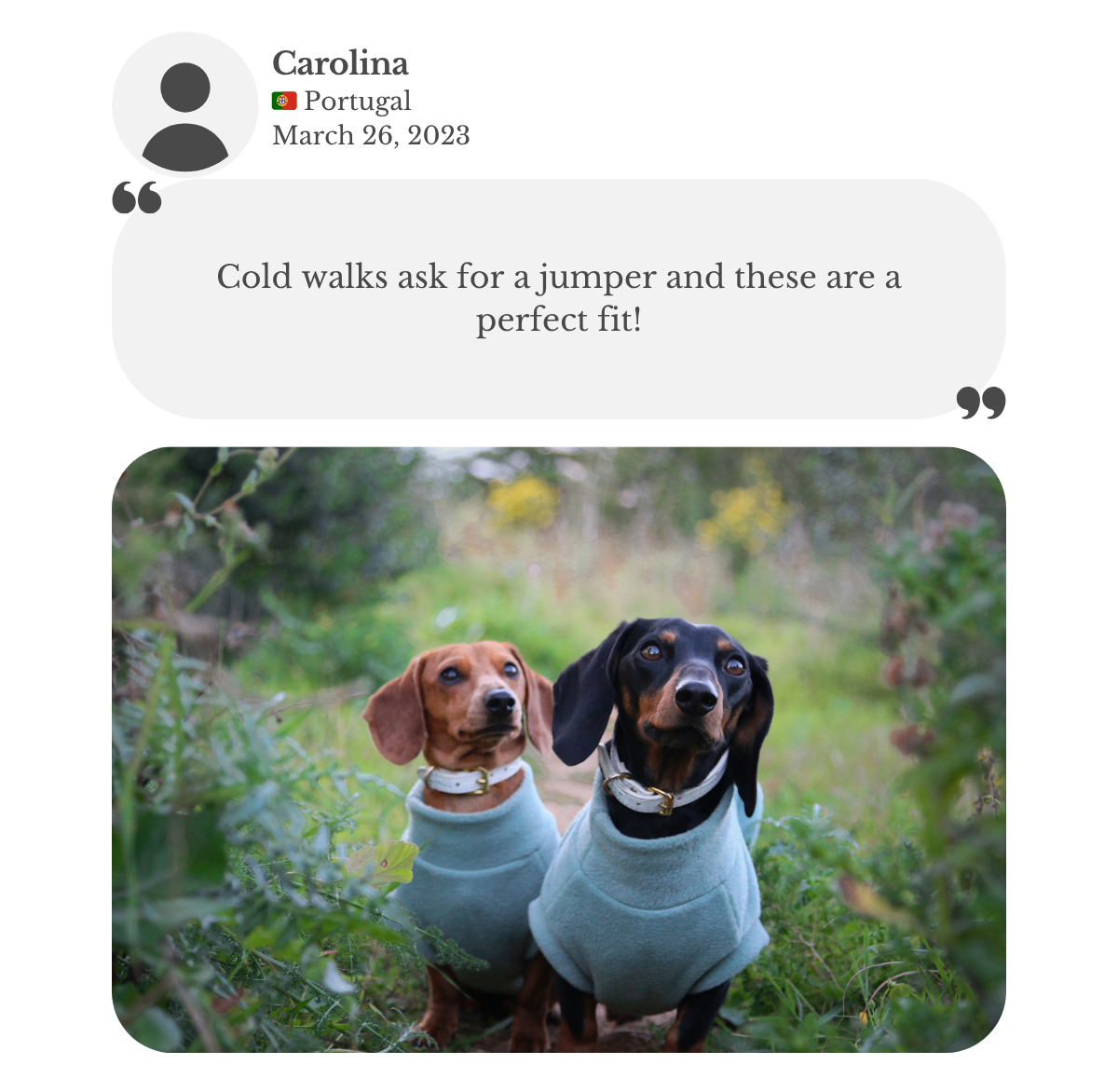 Customer testimonial from Carolina in Portugal: her two miniature dachshunds wear aqua fleece vests from Lana Royals Pet Wear, perfectly fitted for cold walks.