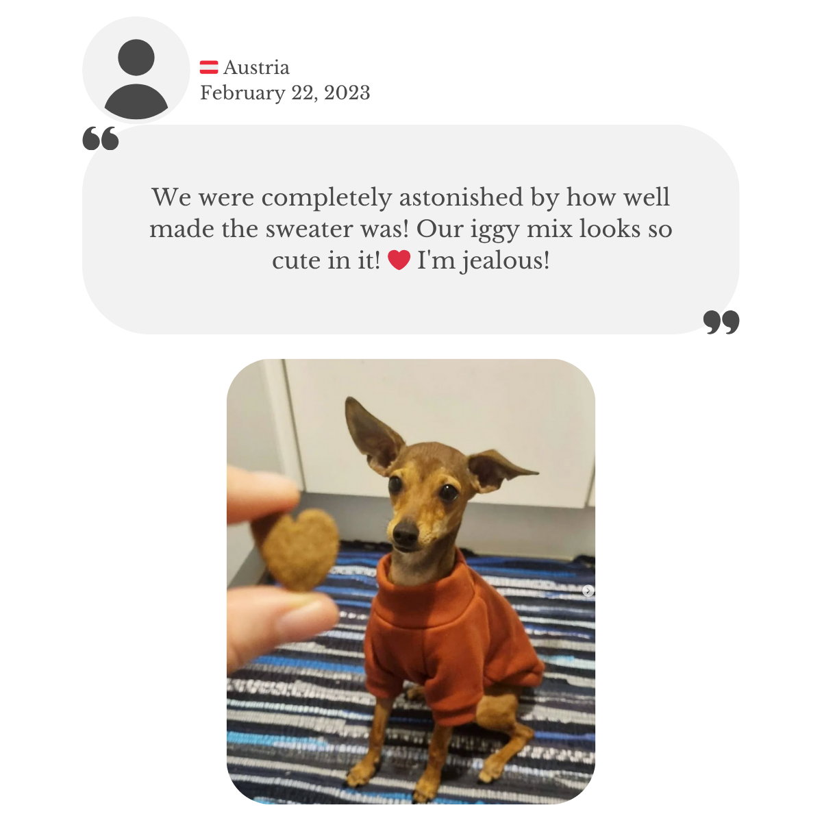 Italian greyhound mix wearing terracotta cotton sweatshirt with raglan sleeves. Customer praising the quality and fit of the jumper.