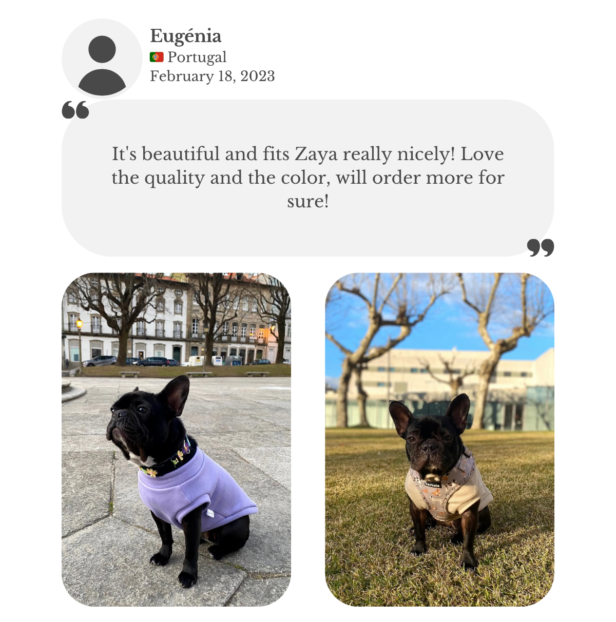Customer testimonial from Eugenia: her French Bulldog, Maya, wears a lilac sweatshirt and beige fleece from Lana Royals Pet Wear. She praises the beautiful colors, perfect fit, high quality, and plans to order more.
