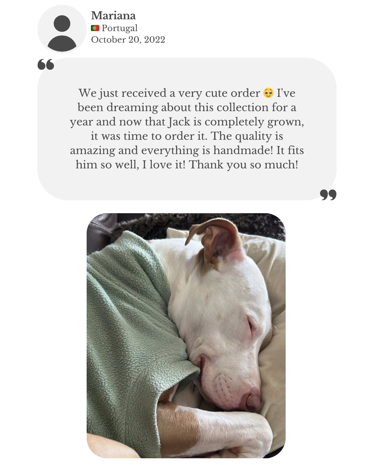 American pitfall terrier wearing custom made to measure aqua polar fleece jumper by Lana Royals Pet Wear. Mariana is complimenting the quality of the handmade item and the perfect custom fit.