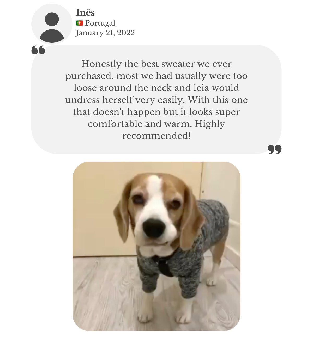 Customer testimonial: beagle wearing her custom-made polar jumper from Lana Royals Pet Wear, perfectly fitted around the neck, warm and comfortable, and she highly recommends it as the best sweater her dog has ever had
