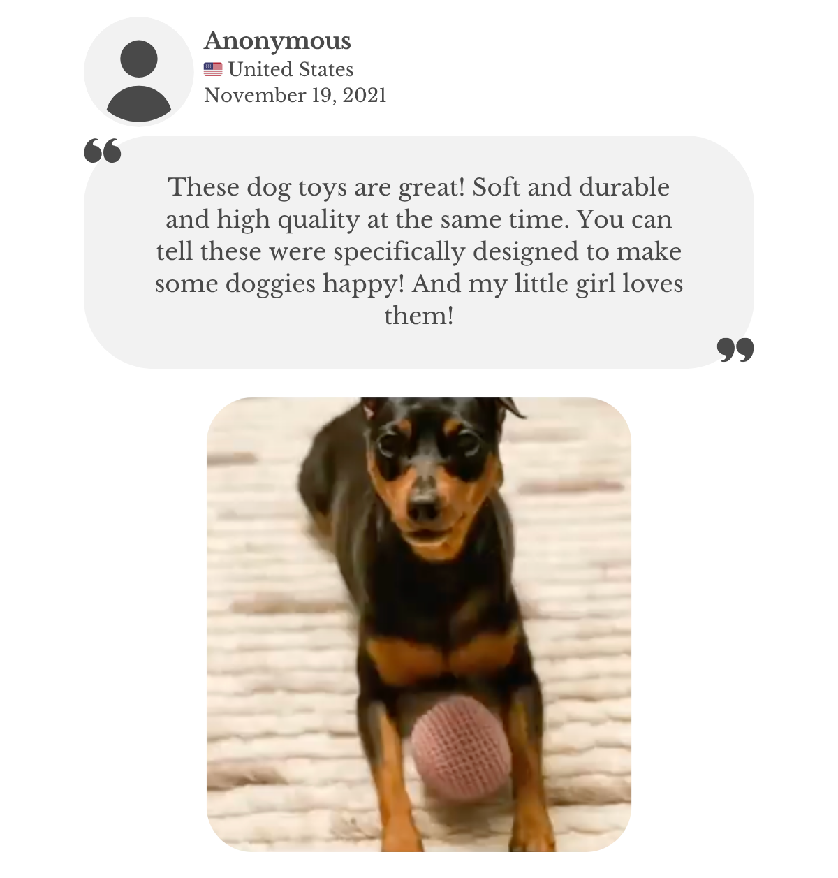 Dog playing with a handmade crochet ball from Lana Royals Pet Wear, with a review text overlay praising the toys' quality and softness.