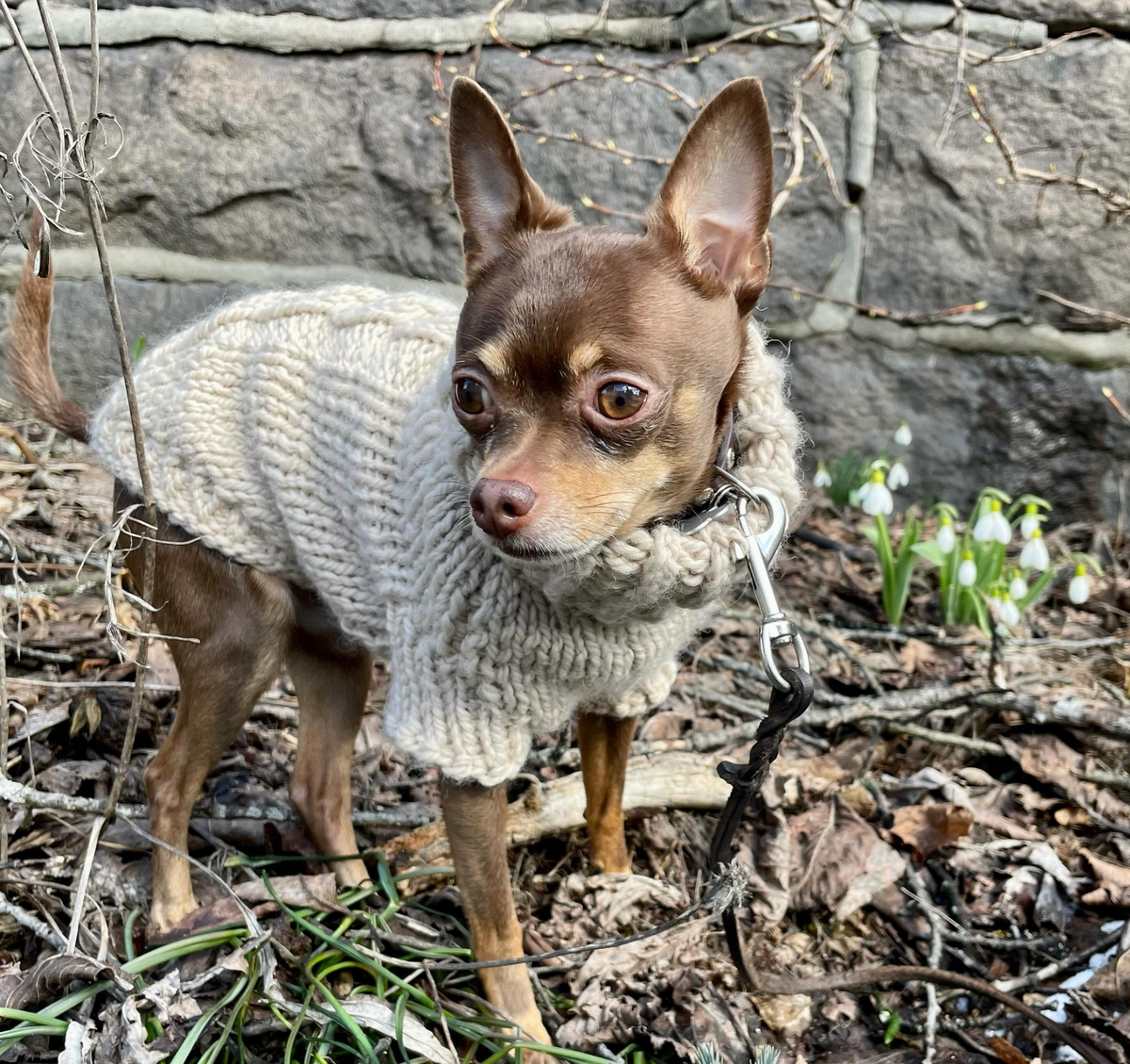 'ARCTIC' Dog Sweater – PDF KNITTING PATTERN