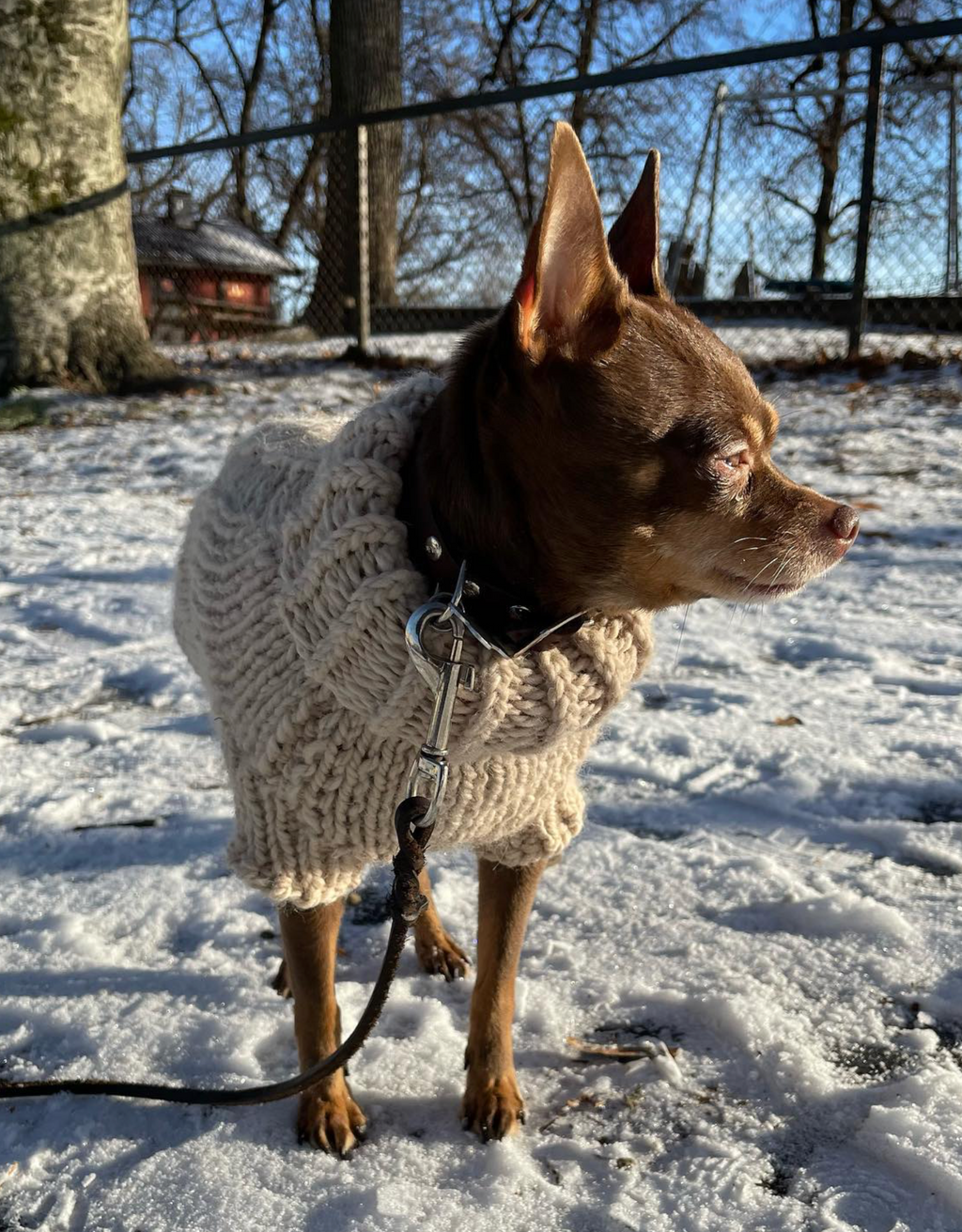 'ARCTIC' Dog Sweater – PDF KNITTING PATTERN