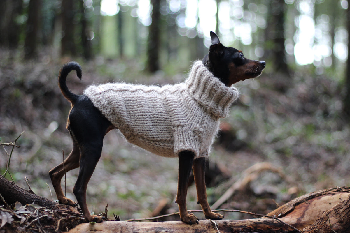 'ARCTIC' Dog Sweater – PDF KNITTING PATTERN
