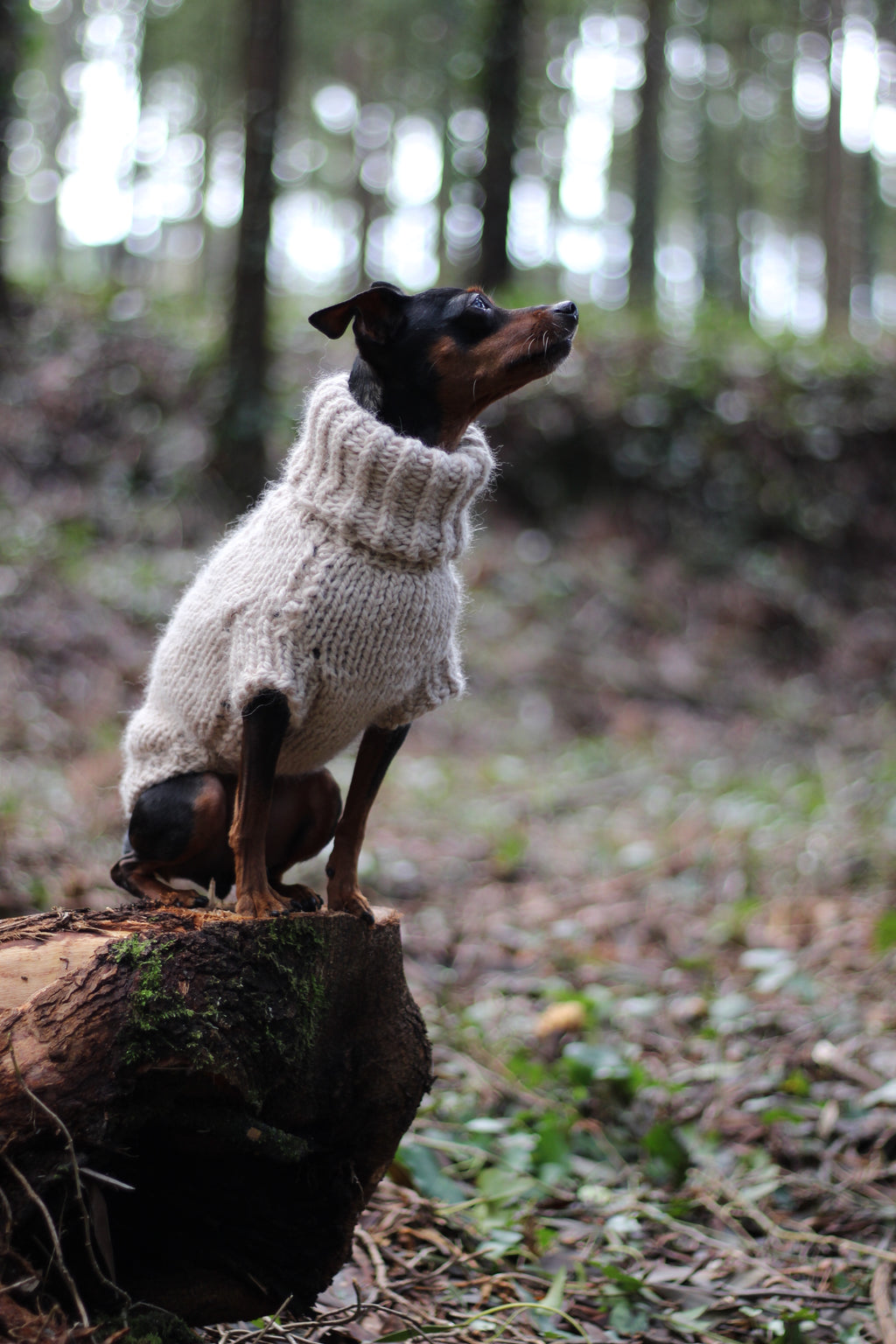 'ARCTIC' Dog Sweater – PDF KNITTING PATTERN