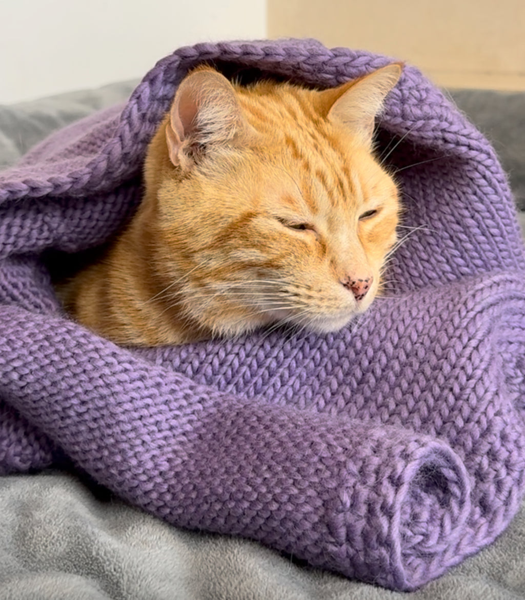 SNOW Amethyst Purple Hand-Knitted Alpaca Wool Blanket for Small Dogs or Cats | 80 x 90 cm