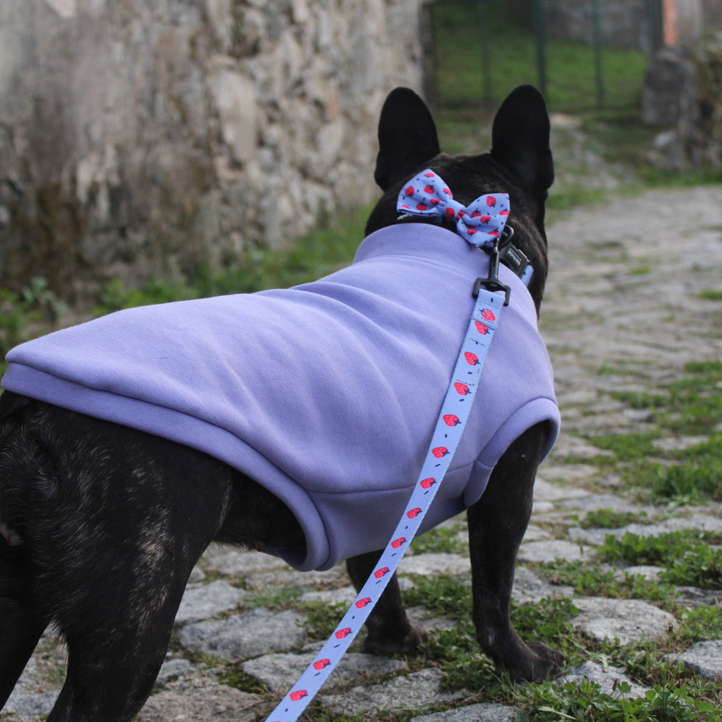 Sweatshirt Sleeveless Tank-Top Vest for Dogs | Custom-Tailored, Made to Measure