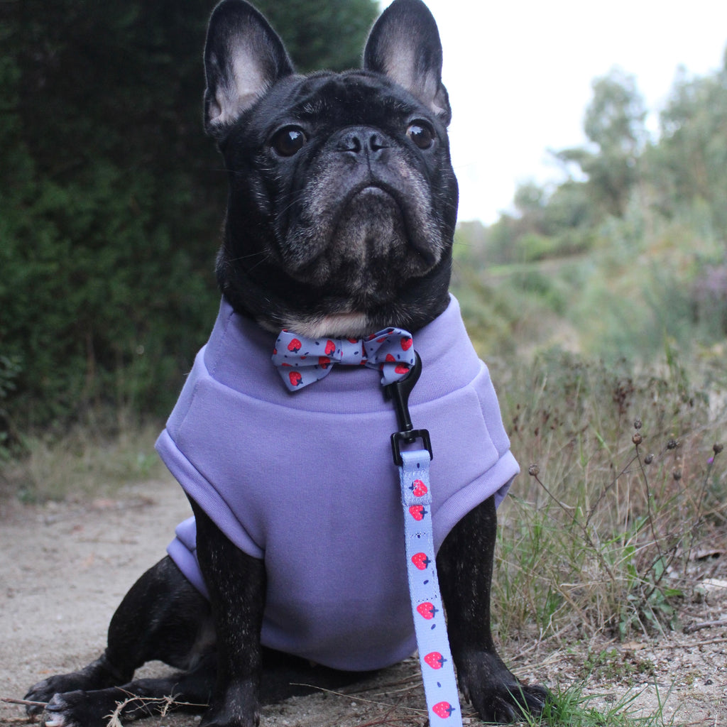 Sweatshirt Sleeveless Tank-Top Vest for Dogs | Custom-Tailored, Made to Measure