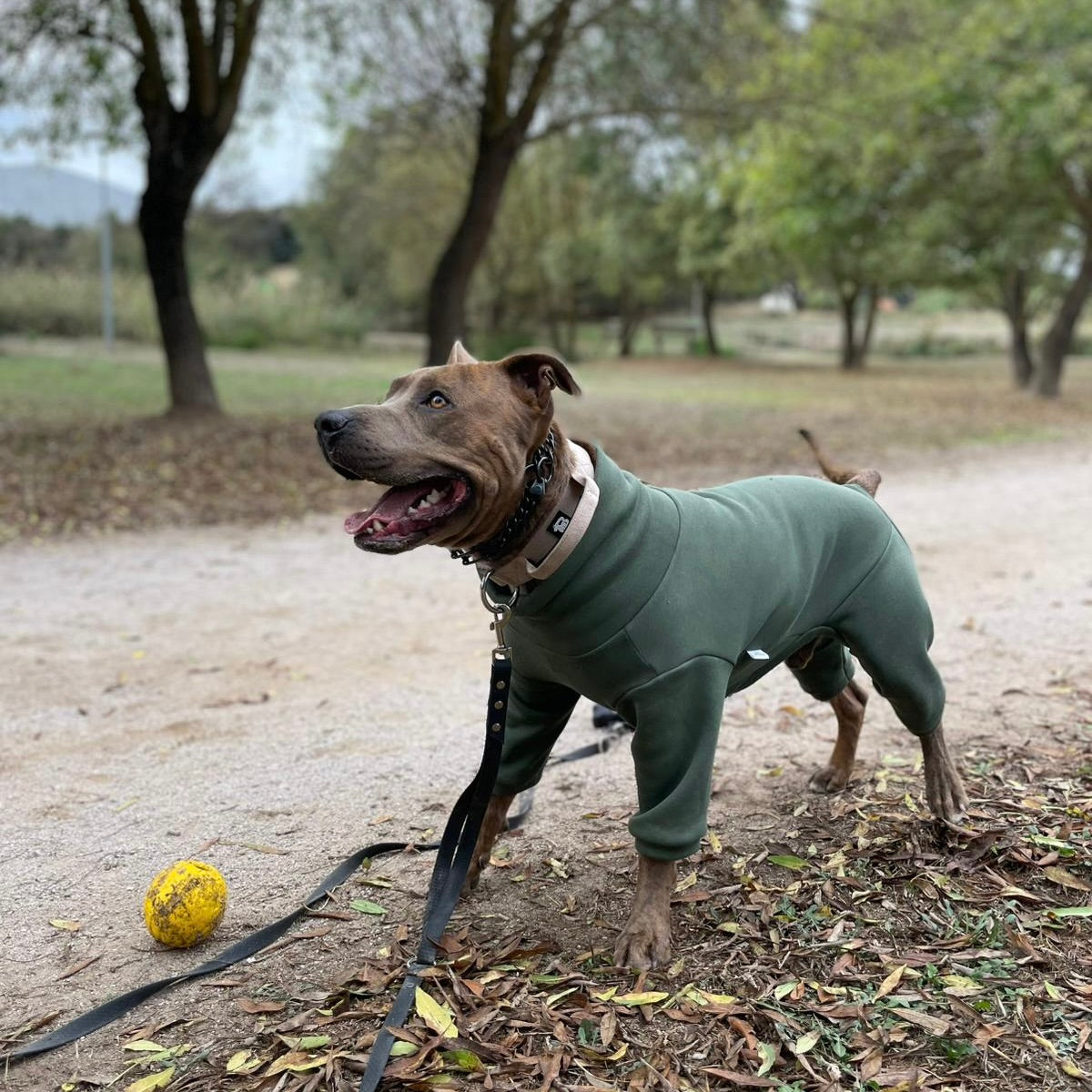 Sweatshirt Onesie Pullover Jumpsuit for Dogs | Custom-Tailored, Made to Measure