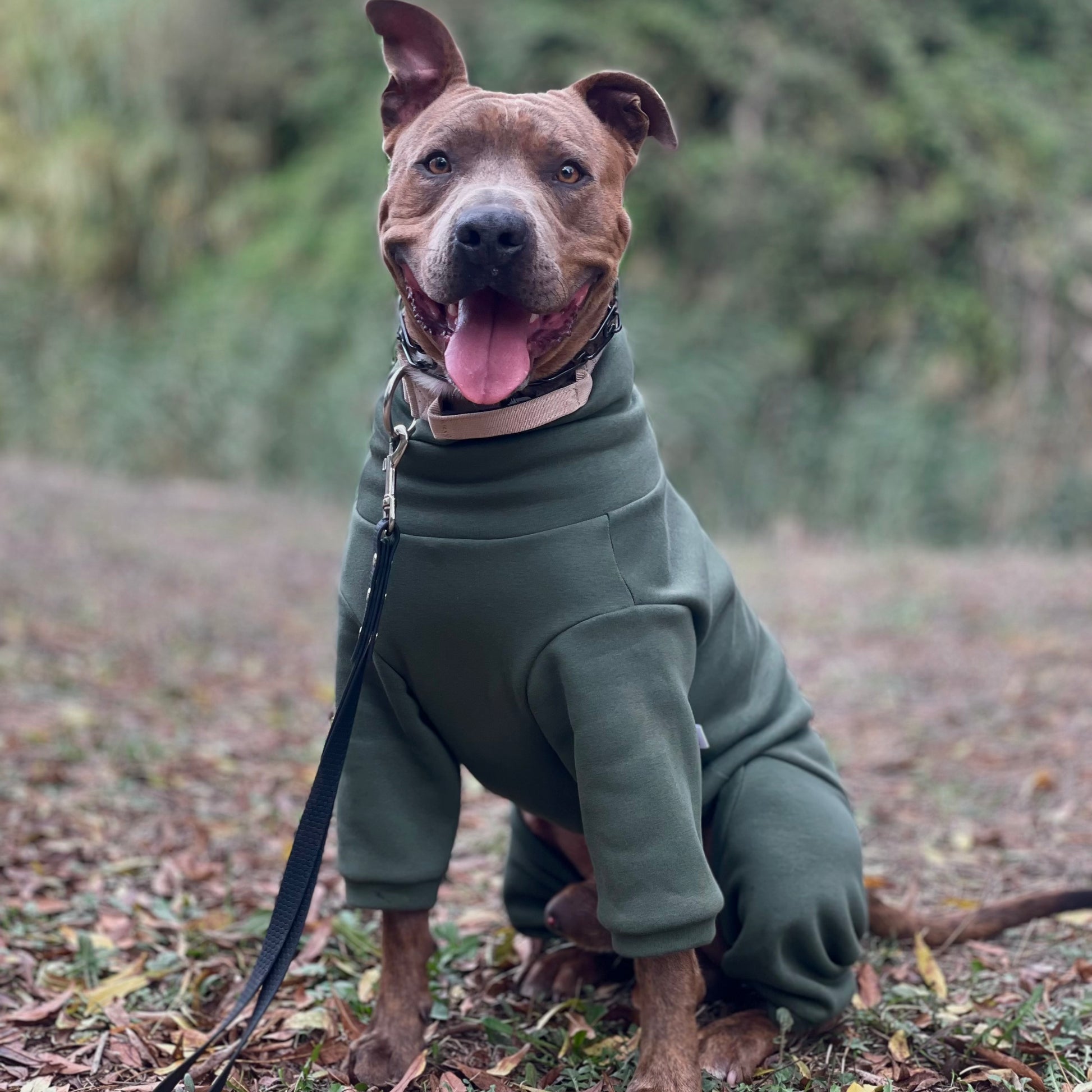 Sweatshirt Onesie Pullover Jumpsuit for Dogs | Custom-Tailored, Made to Measure