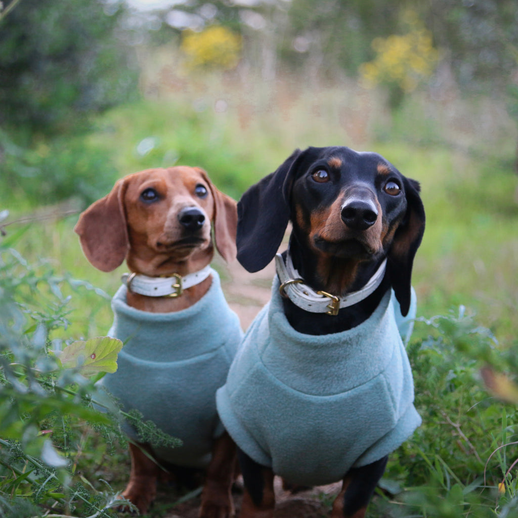 Fleece Sleeveless Tank-Top Vest for Dogs | Custom-Tailored, Made to Measure