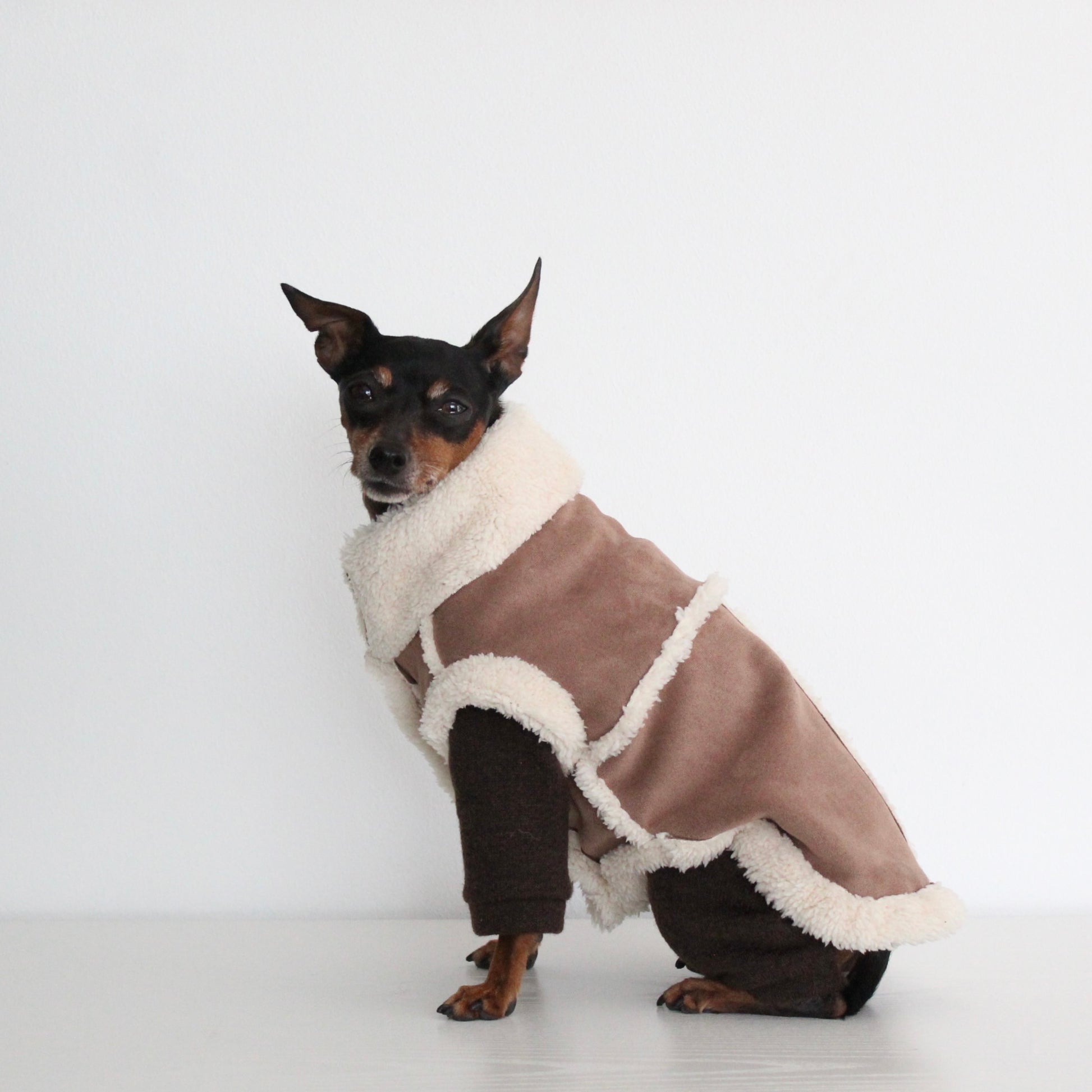 FERALIS | Velvet with Sherpa Lining Coat for Dogs | Custom-Tailored, Made to Measure