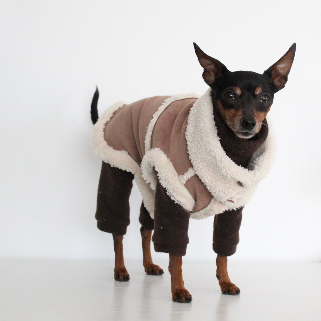 FERALIS | Velvet with Sherpa Lining Coat for Dogs | Custom-Tailored, Made to Measure