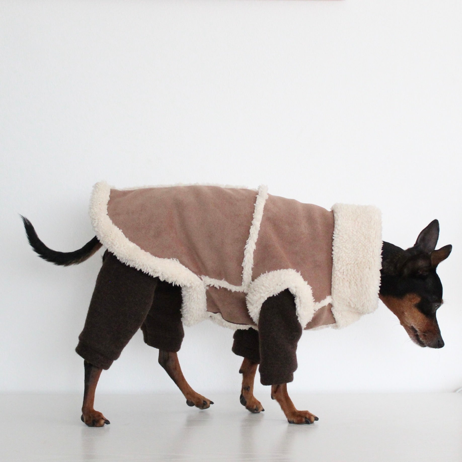 FERALIS | Velvet with Sherpa Lining Coat for Dogs | Custom-Tailored, Made to Measure