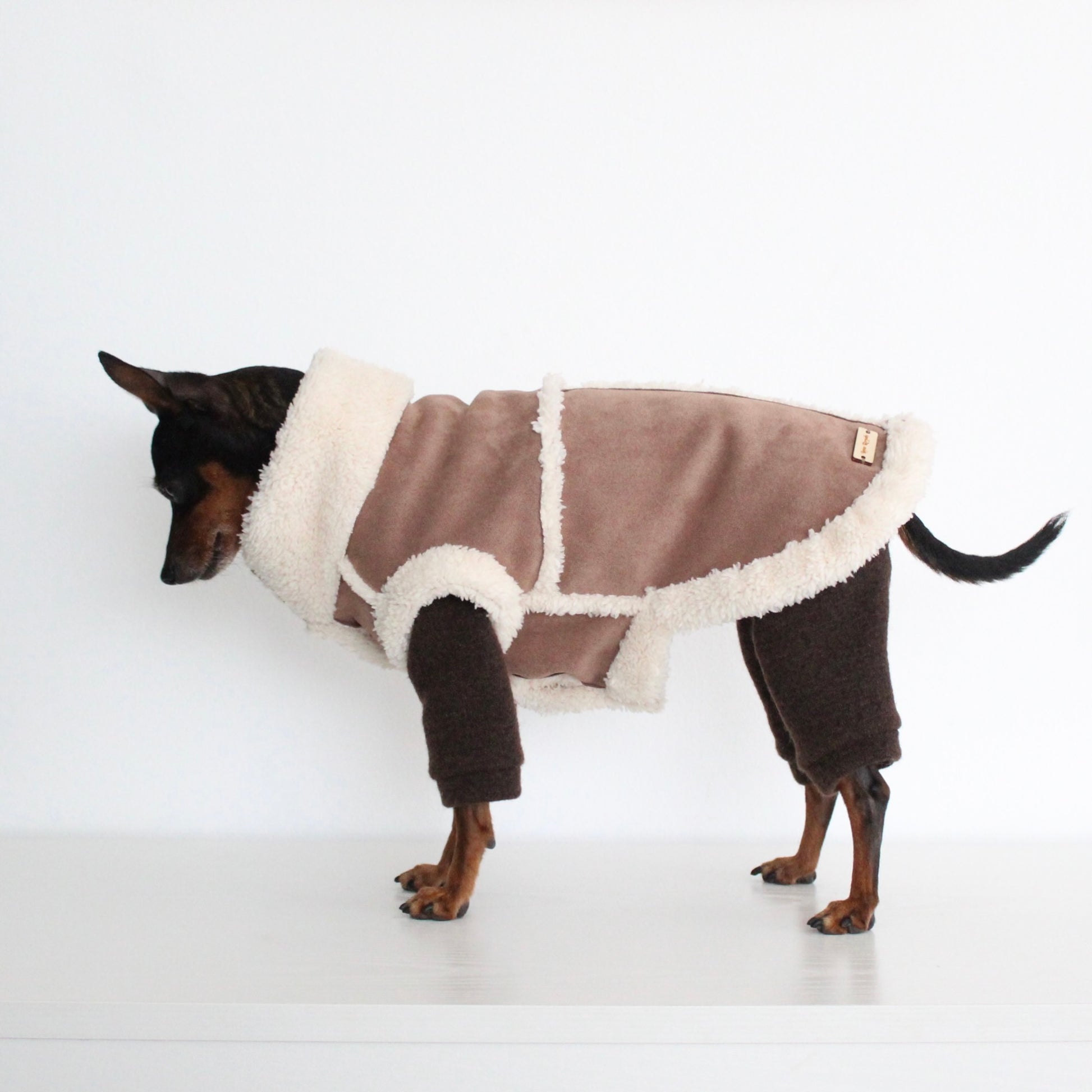 FERALIS | Velvet with Sherpa Lining Coat for Dogs | Custom-Tailored, Made to Measure