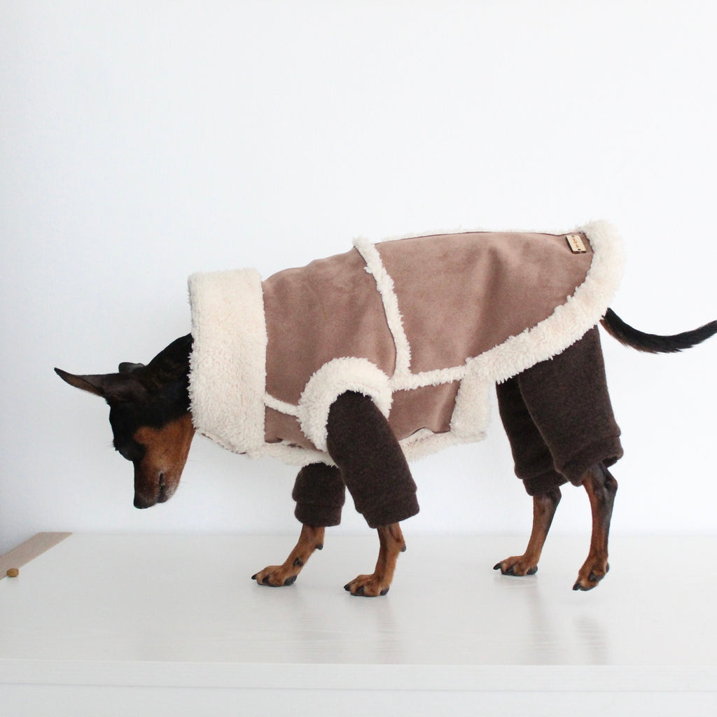 FERALIS | Velvet with Sherpa Lining Coat for Dogs | Custom-Tailored, Made to Measure