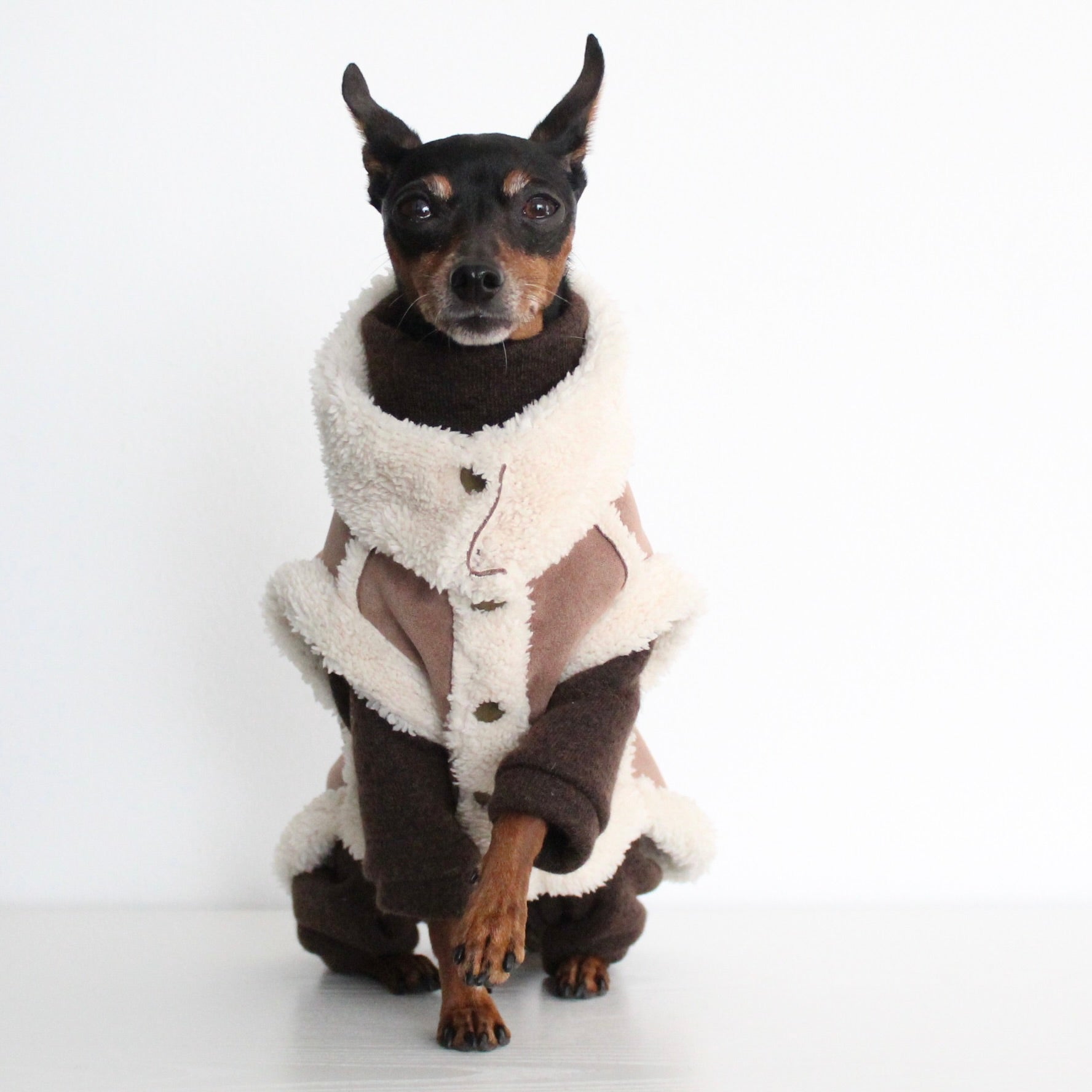FERALIS | Velvet with Sherpa Lining Coat for Dogs | Custom-Tailored, Made to Measure