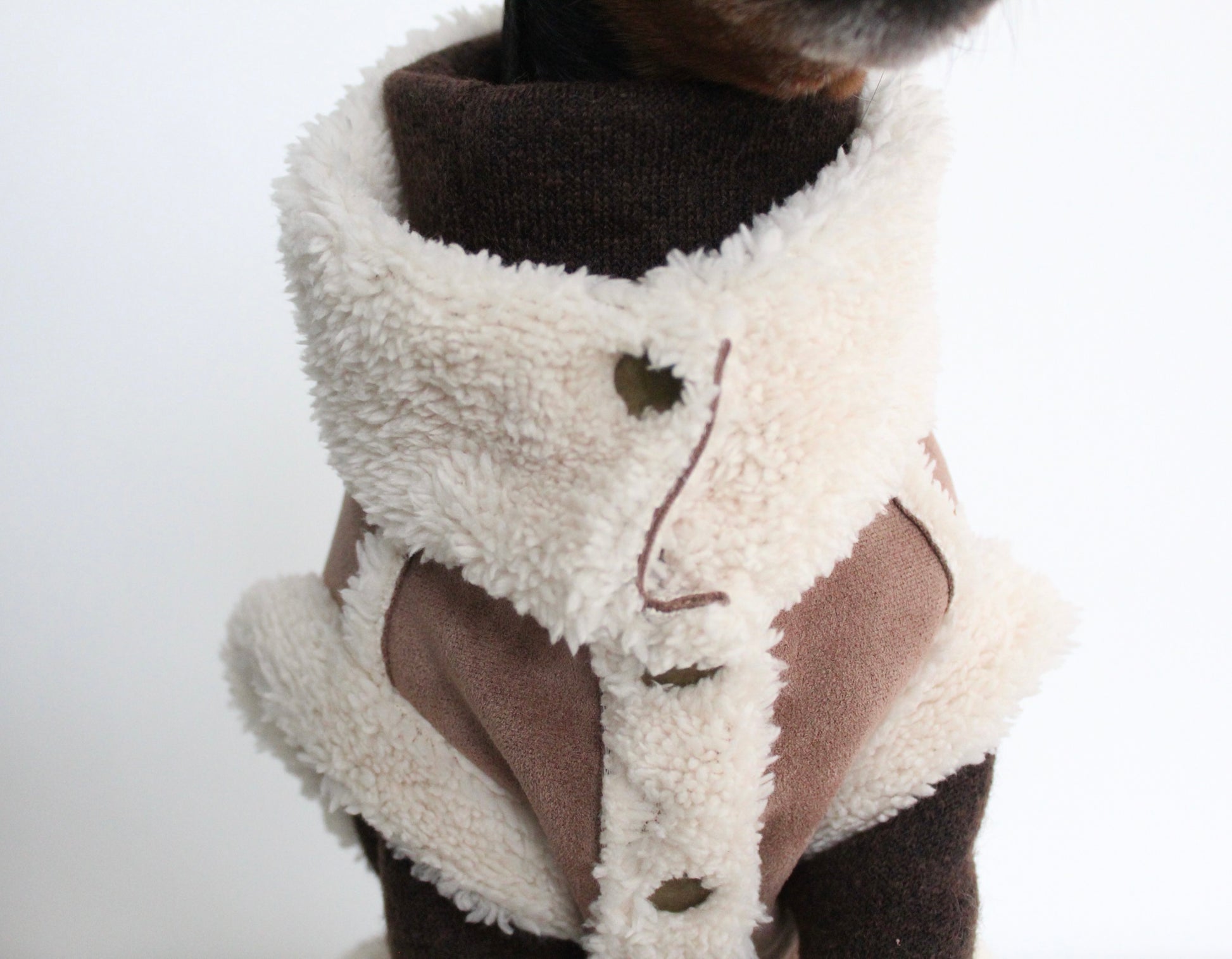 FERALIS | Velvet with Sherpa Lining Coat for Dogs | Custom-Tailored, Made to Measure