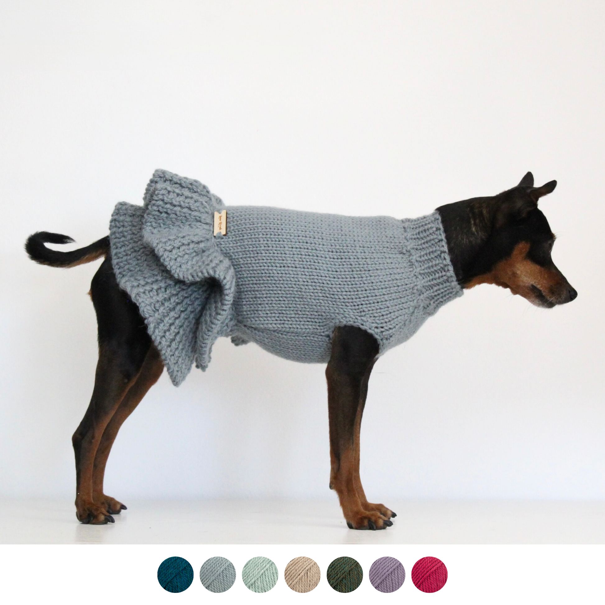 Miniature pinscher wearing a smoke sage hand-knitted alpaca wool dress sweater, custom-tailored to measure by Lana Royals Pet Wear.