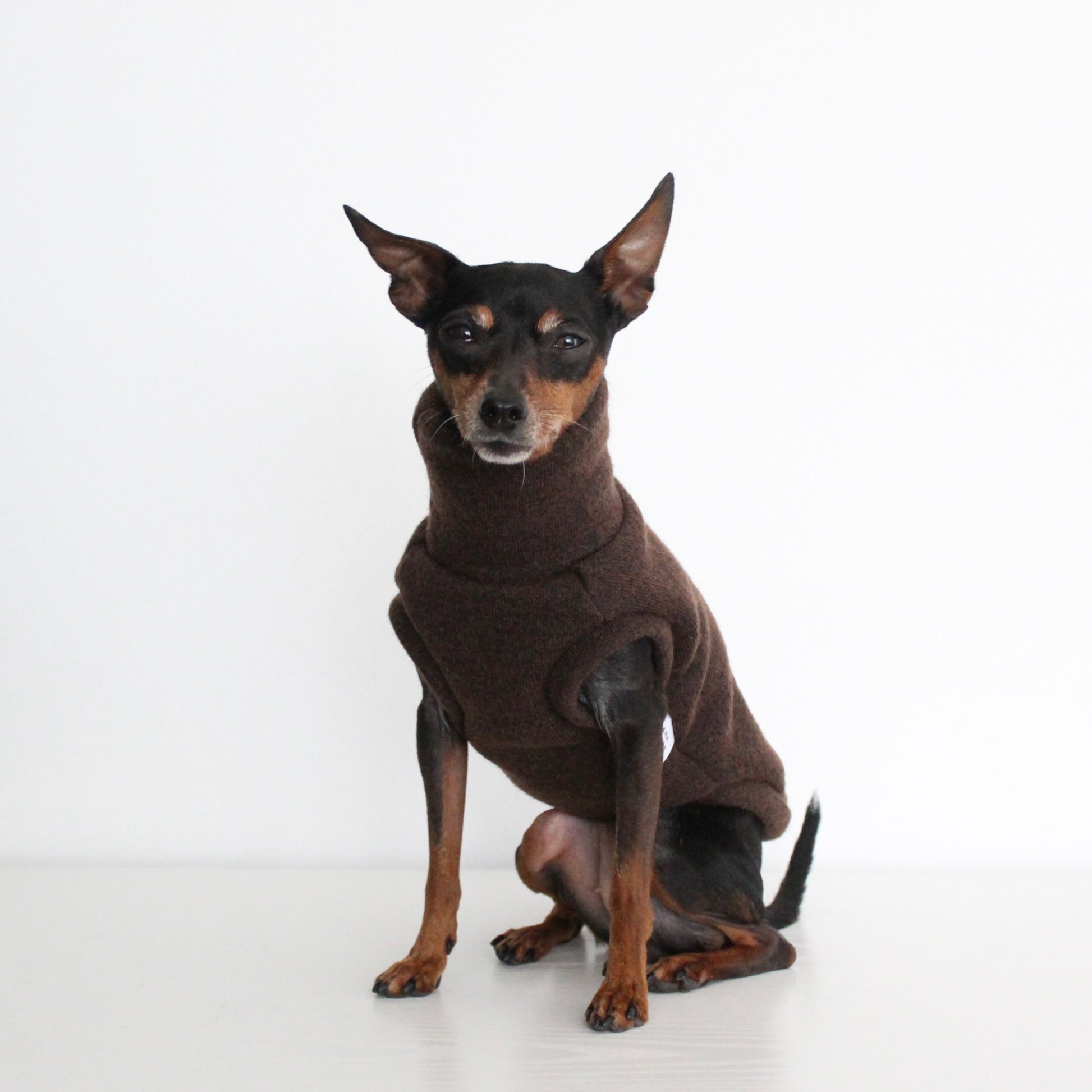 WOOLY Dark Brown Wool Fabric Sleeveless Tank-Top Vest for Dogs | Custom-Tailored, Made to Measure
