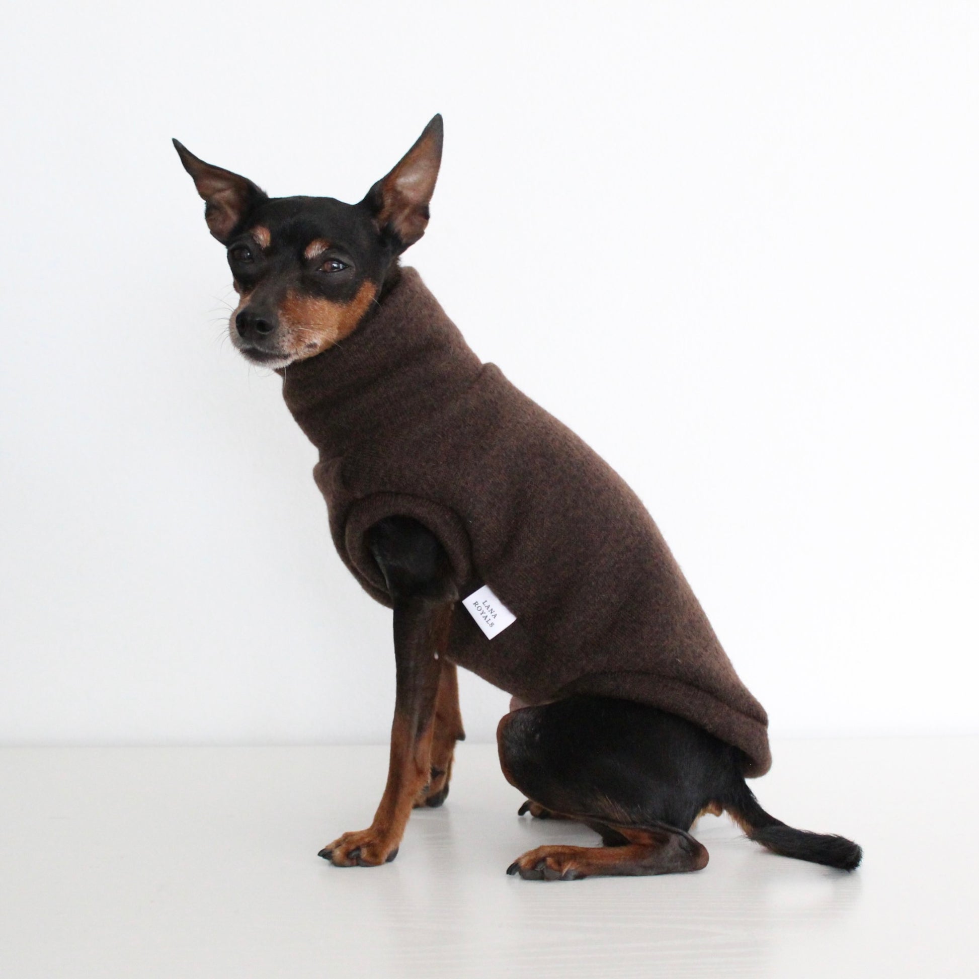 WOOLY Dark Brown Wool Fabric Sleeveless Tank-Top Vest for Dogs | Custom-Tailored, Made to Measure