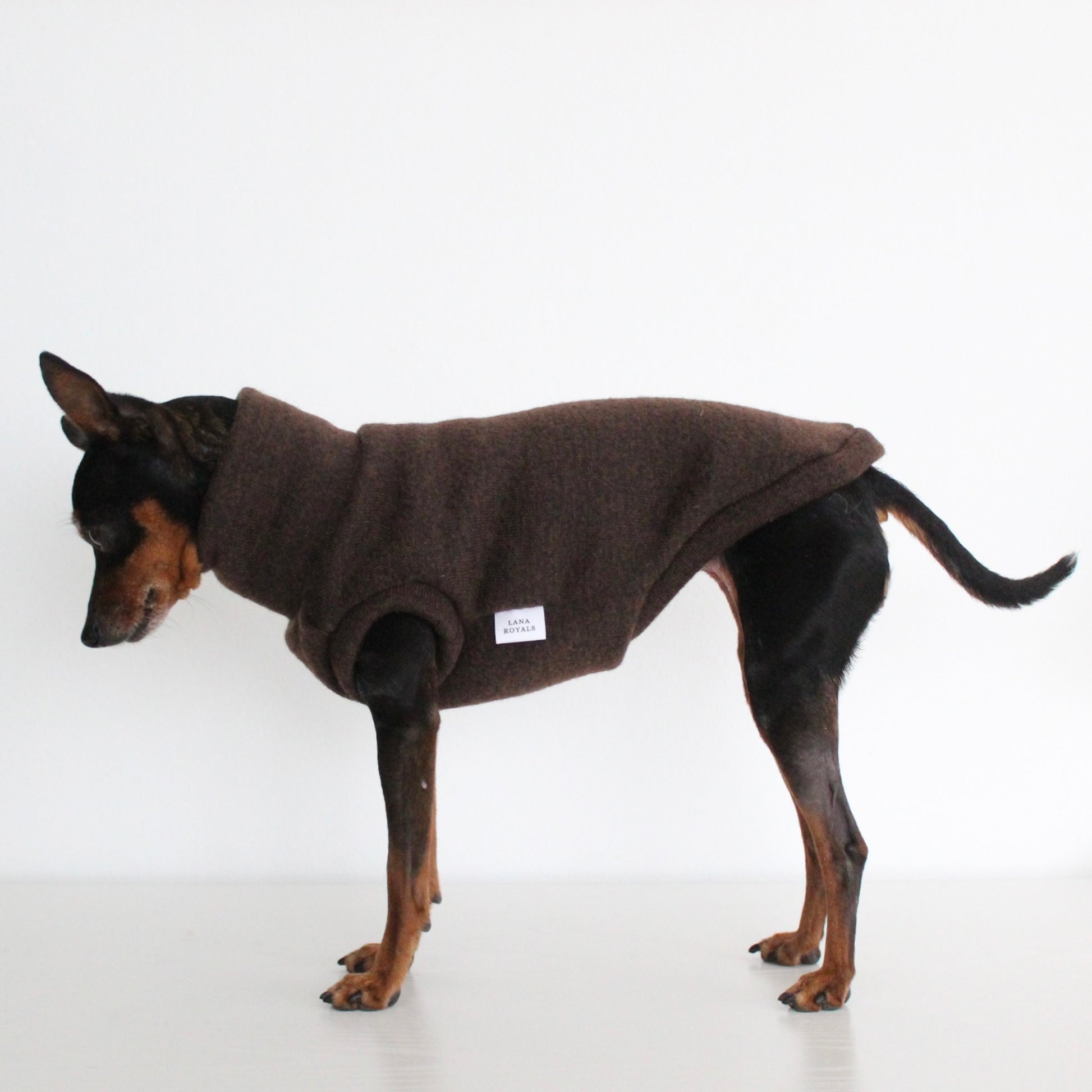 WOOLY Dark Brown Wool Fabric Sleeveless Tank-Top Vest for Dogs | Custom-Tailored, Made to Measure