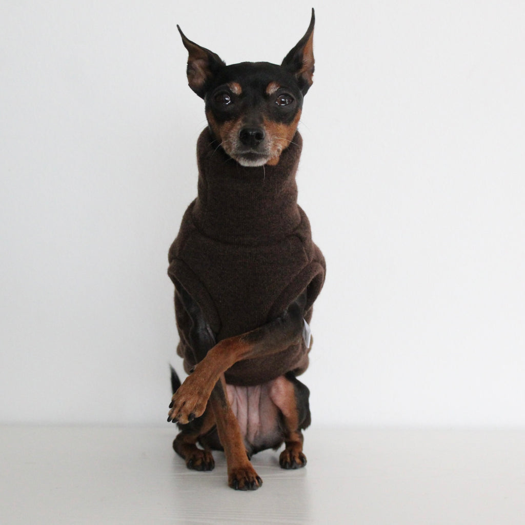 WOOLY Dark Brown Wool Fabric Sleeveless Tank-Top Vest for Dogs | Custom-Tailored, Made to Measure