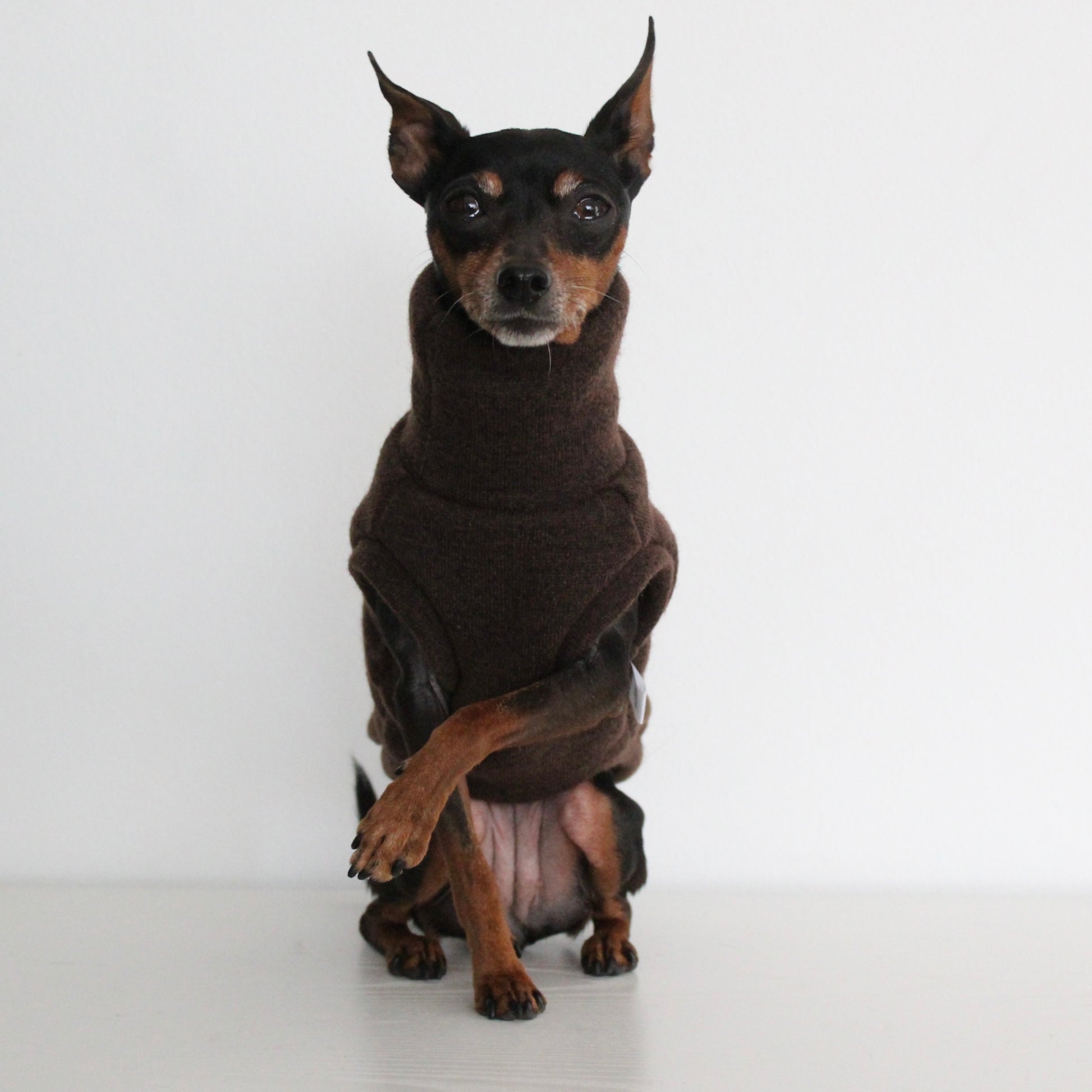 WOOLY Dark Brown Wool Fabric Sleeveless Tank-Top Vest for Dogs | Custom-Tailored, Made to Measure
