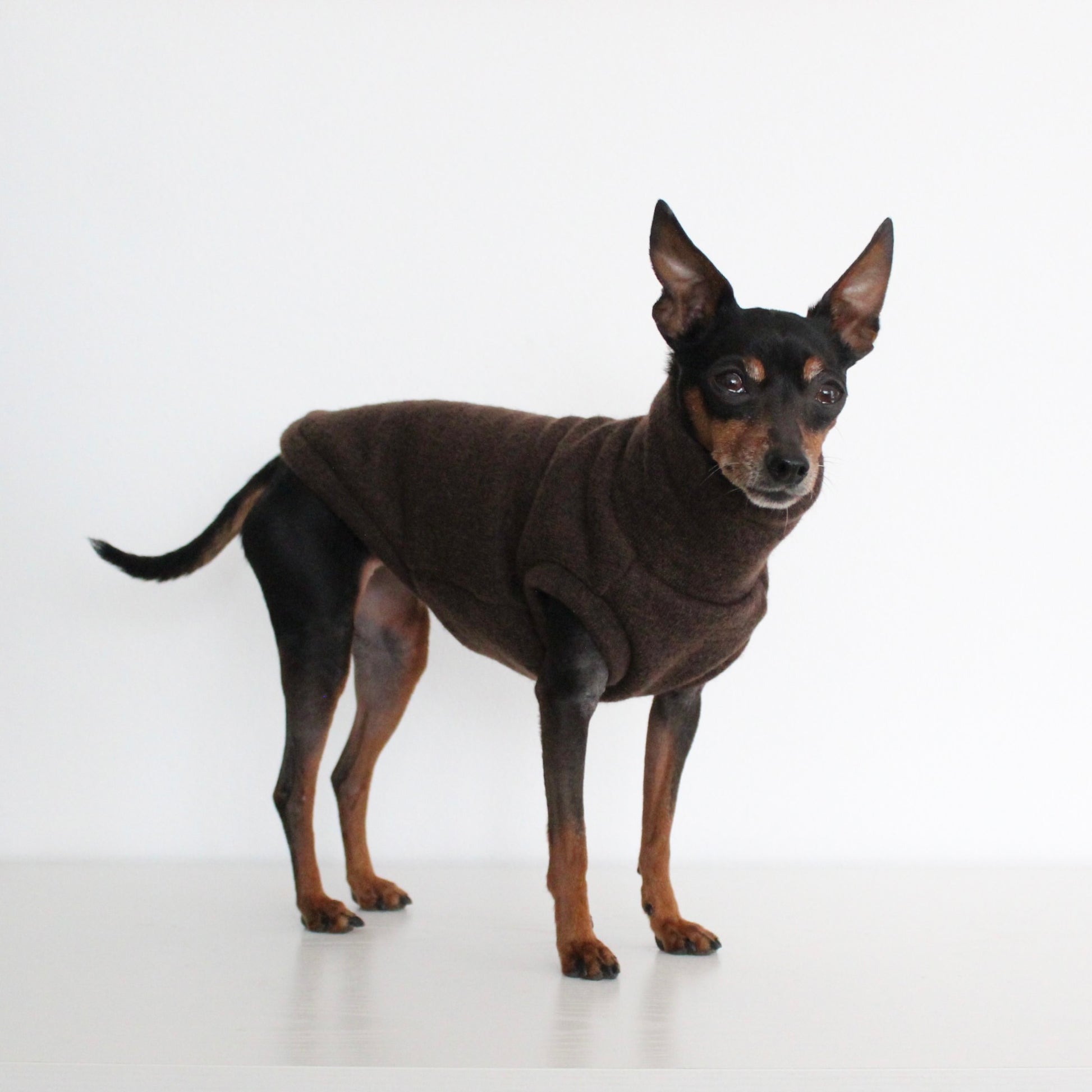WOOLY Dark Brown Wool Fabric Sleeveless Tank-Top Vest for Dogs | Custom-Tailored, Made to Measure