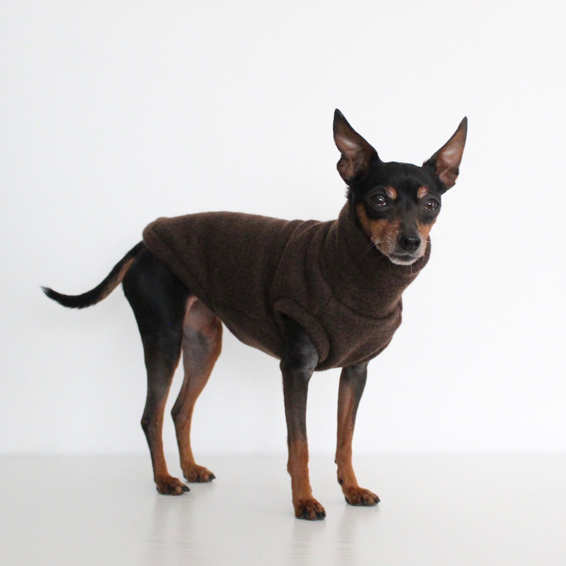 WOOLY Dark Brown Wool Fabric Sleeveless Tank-Top Vest for Dogs | Custom-Tailored, Made to Measure