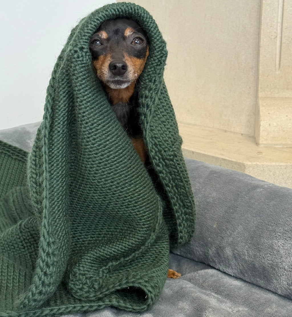 SNOW Emerald Green Hand-Knitted Alpaca Wool Blanket for Small Dogs or Cats | 80 x 90 cm