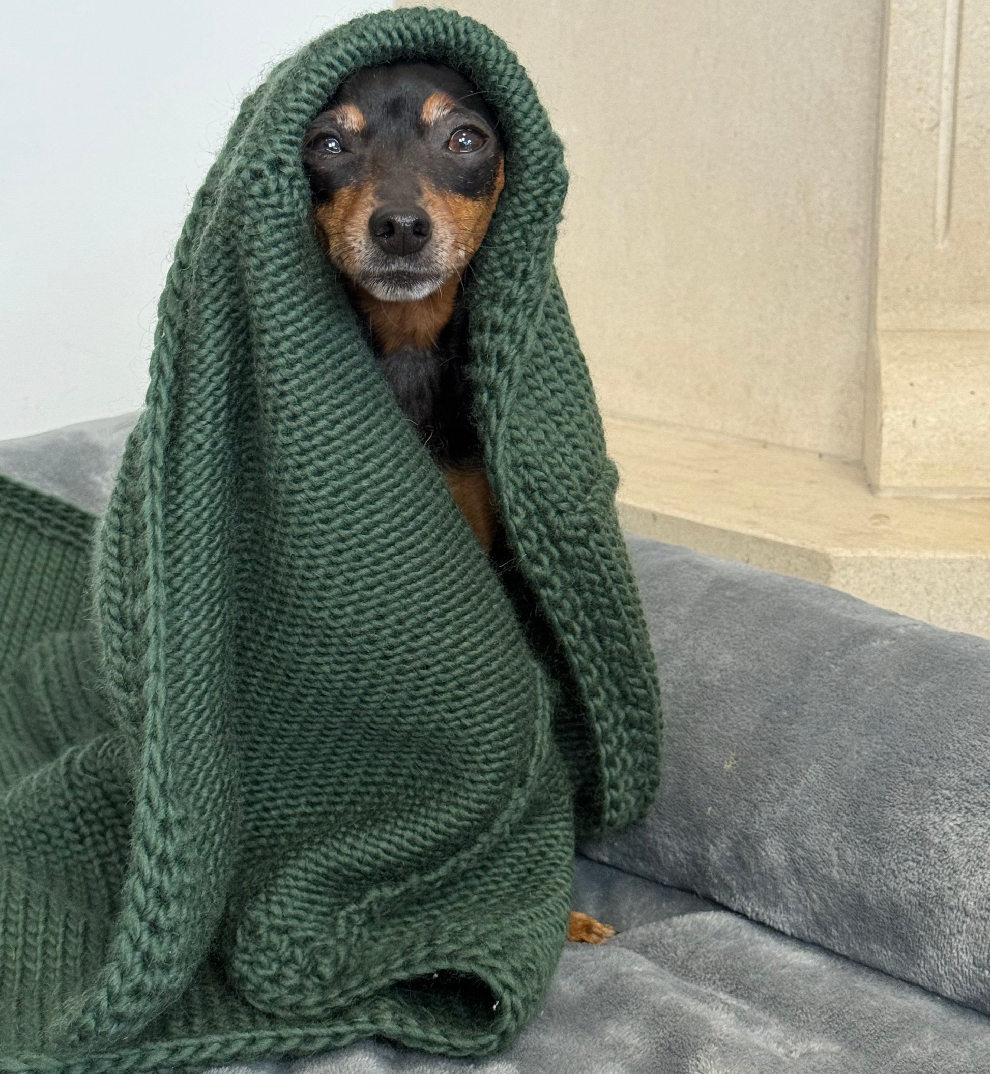 SNOW Emerald Green Hand-Knitted Alpaca Wool Blanket for Small Dogs or Cats | 80 x 90 cm