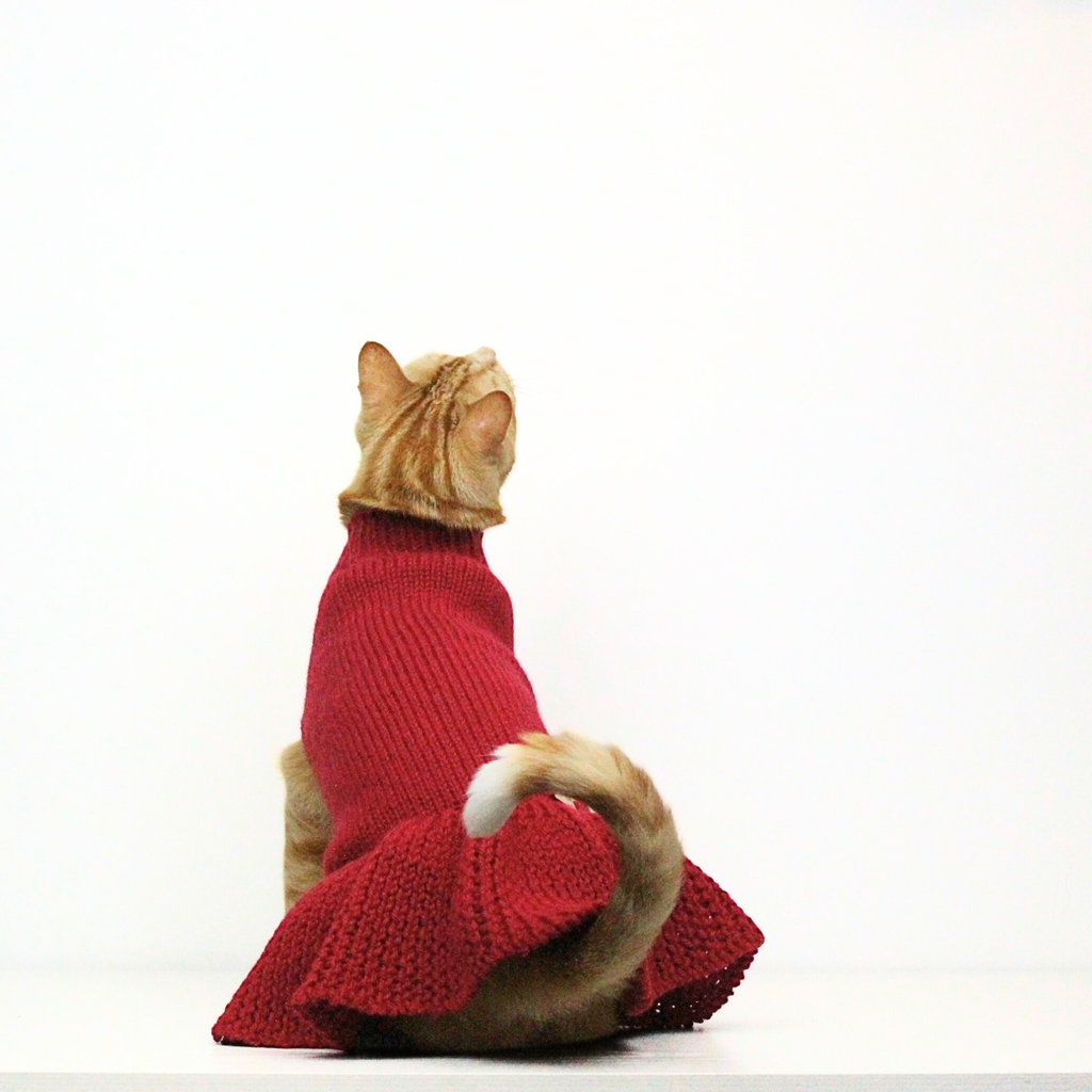Ginger cat wearing a red hand-knitted alpaca wool sweater dress, custom-tailored to measure by Lana Royals Pet Wear.