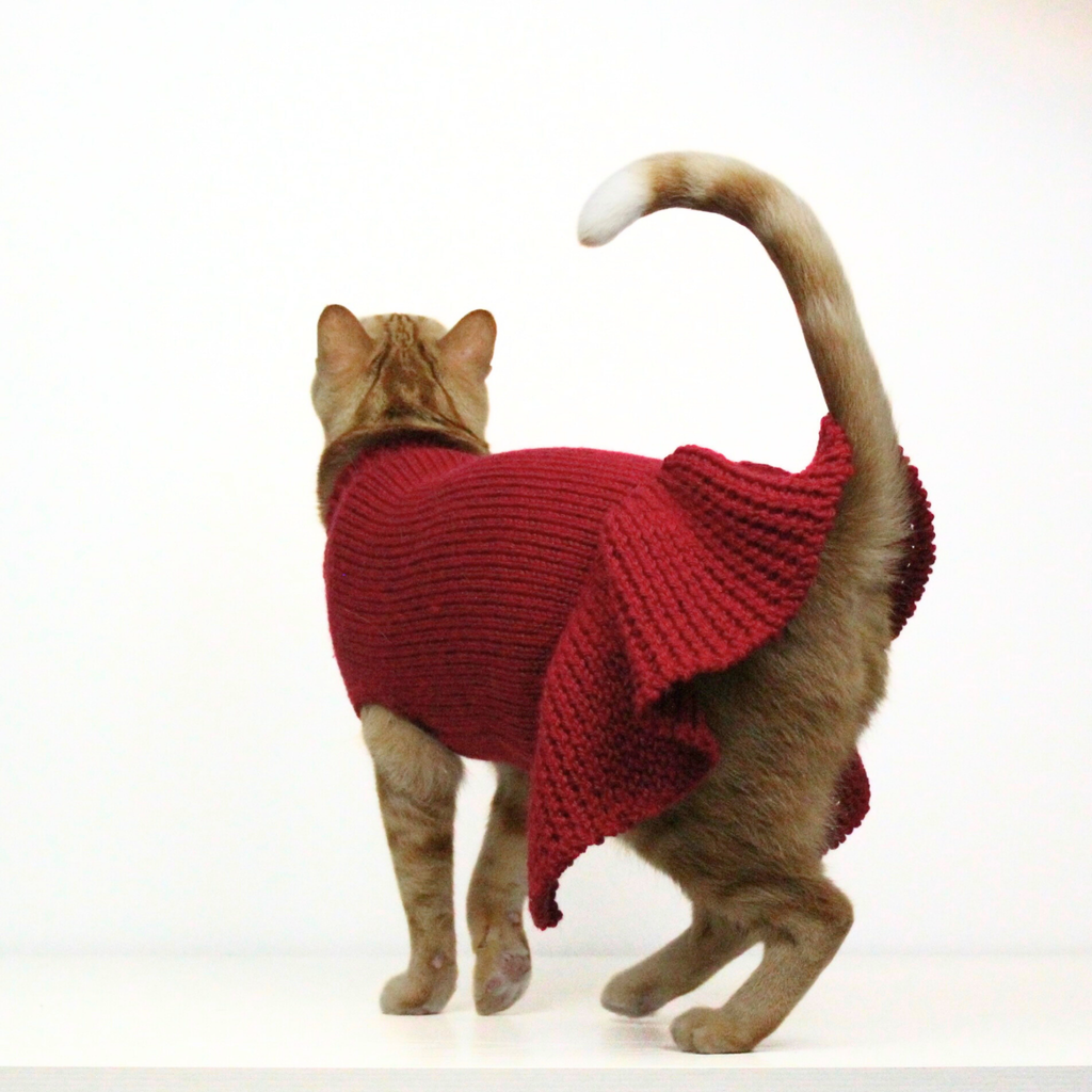 Ginger cat wearing a red hand-knitted alpaca wool sweater dress, custom-tailored to measure by Lana Royals Pet Wear.
